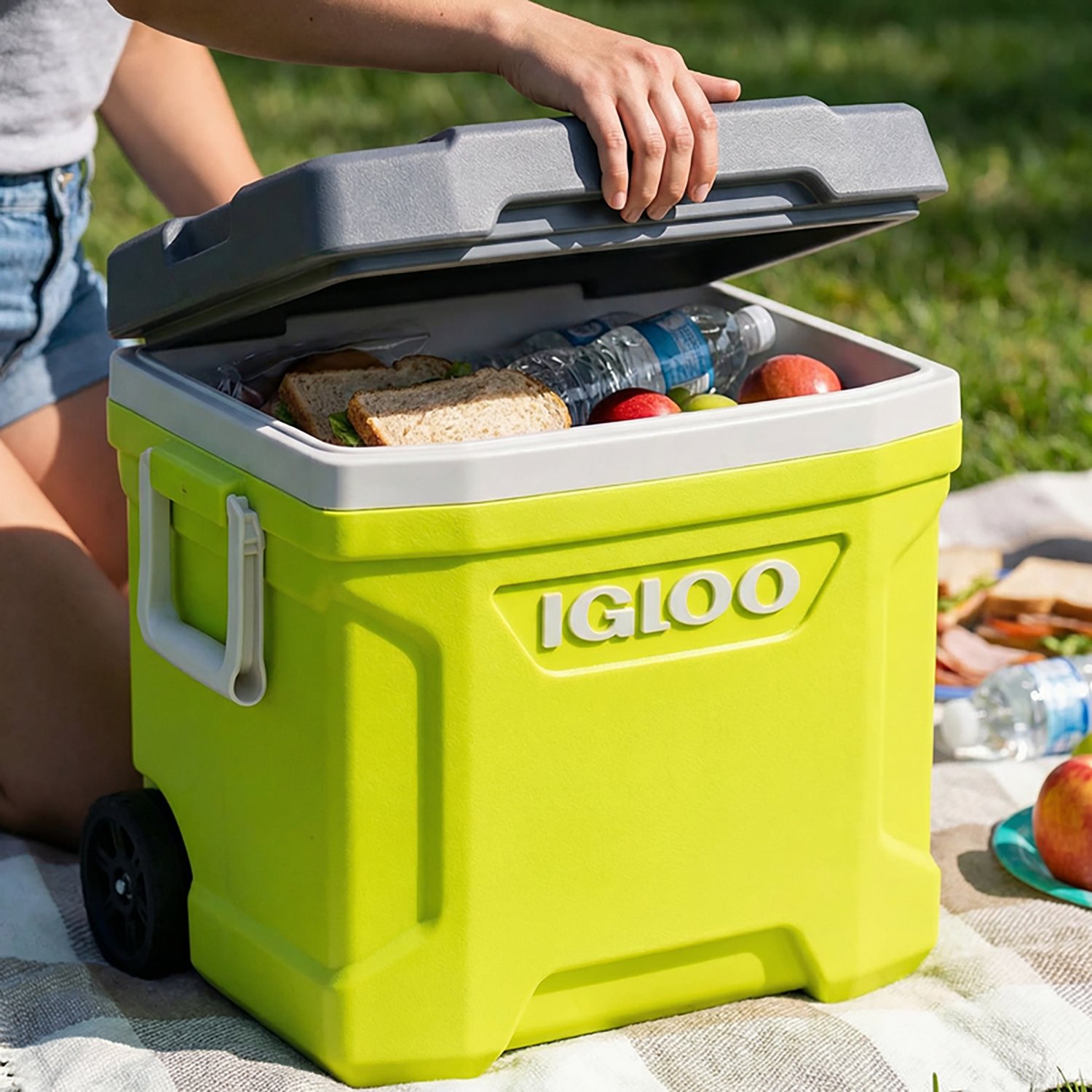 Igloo 16 qt Latitude Roller Cooler - view number 4