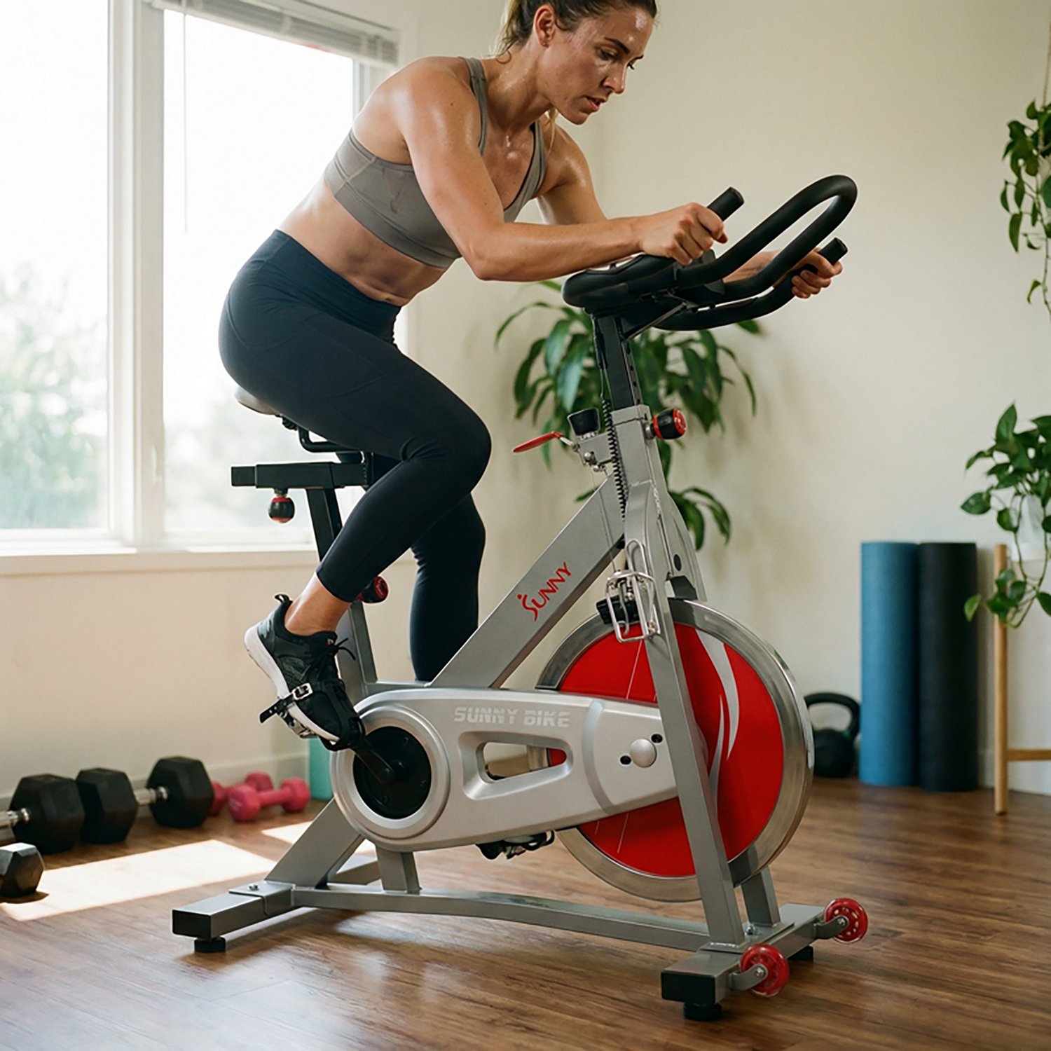 Sunny Health & Fitness Pro II Indoor Cycling Bike