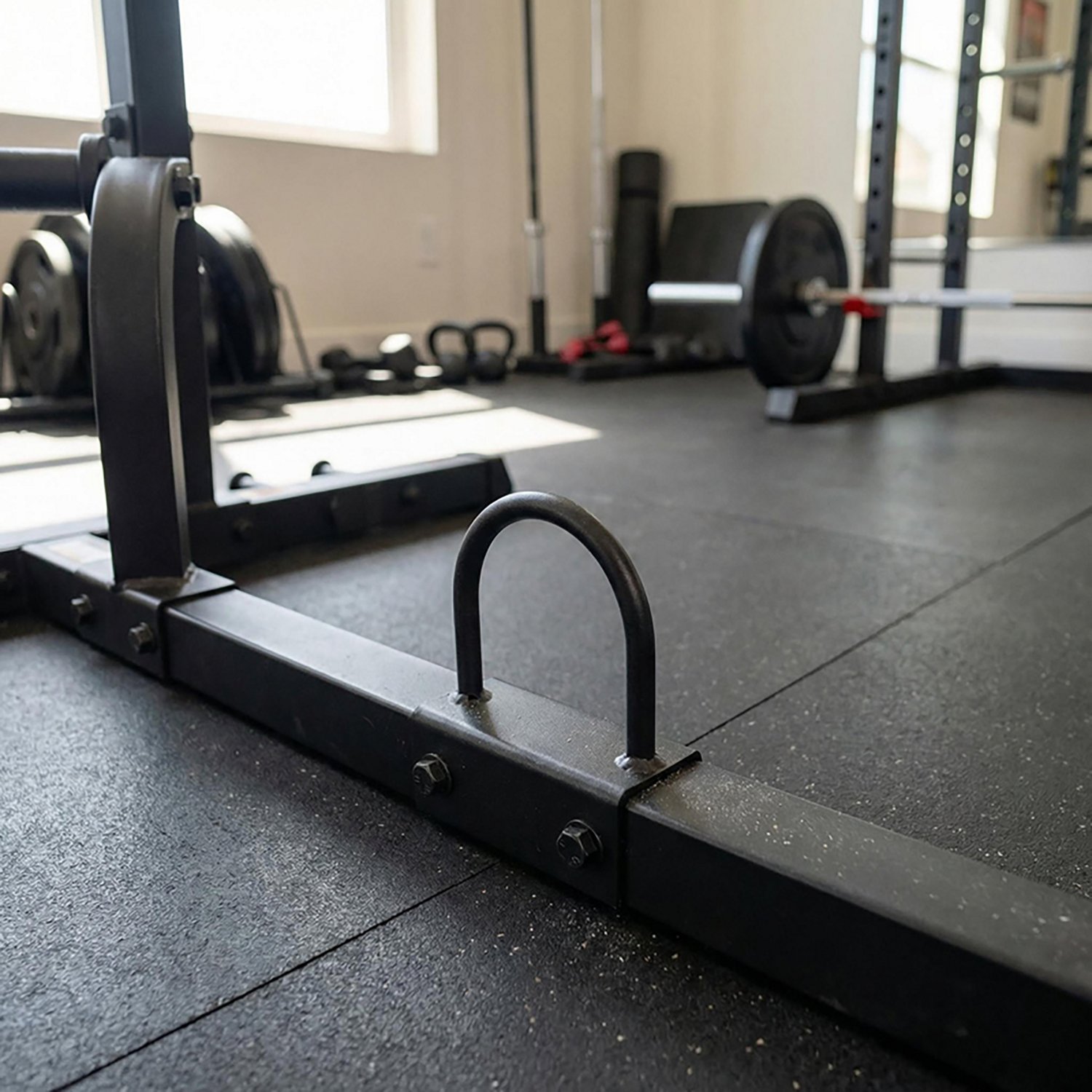 Sunny Health & Fitness U-Ring Attachment