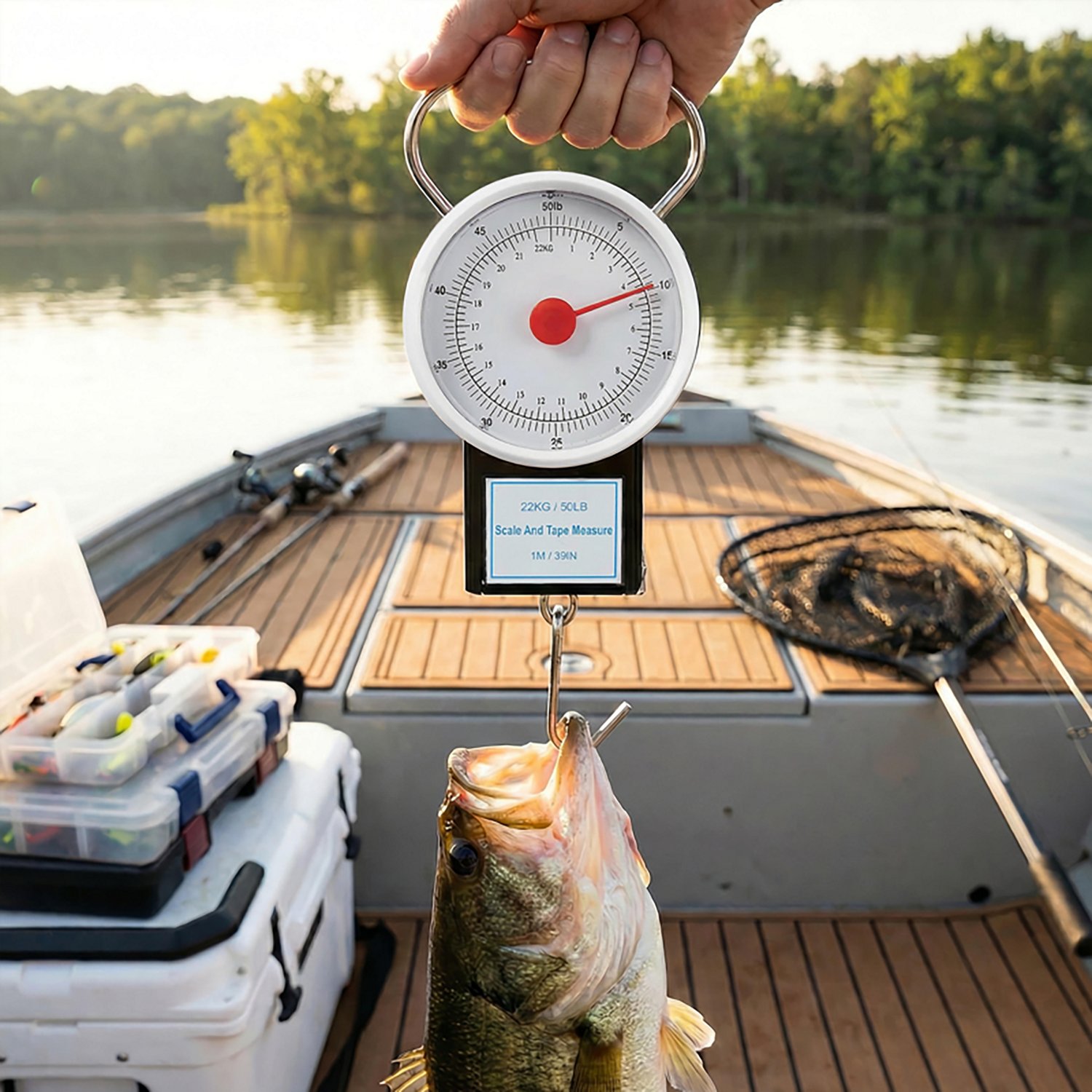 H2OX 50 Lb Mechanical Scale With Tape - view number 4