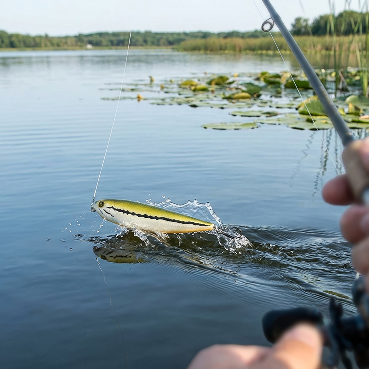 H2OX Model Top Water Special - view number 4