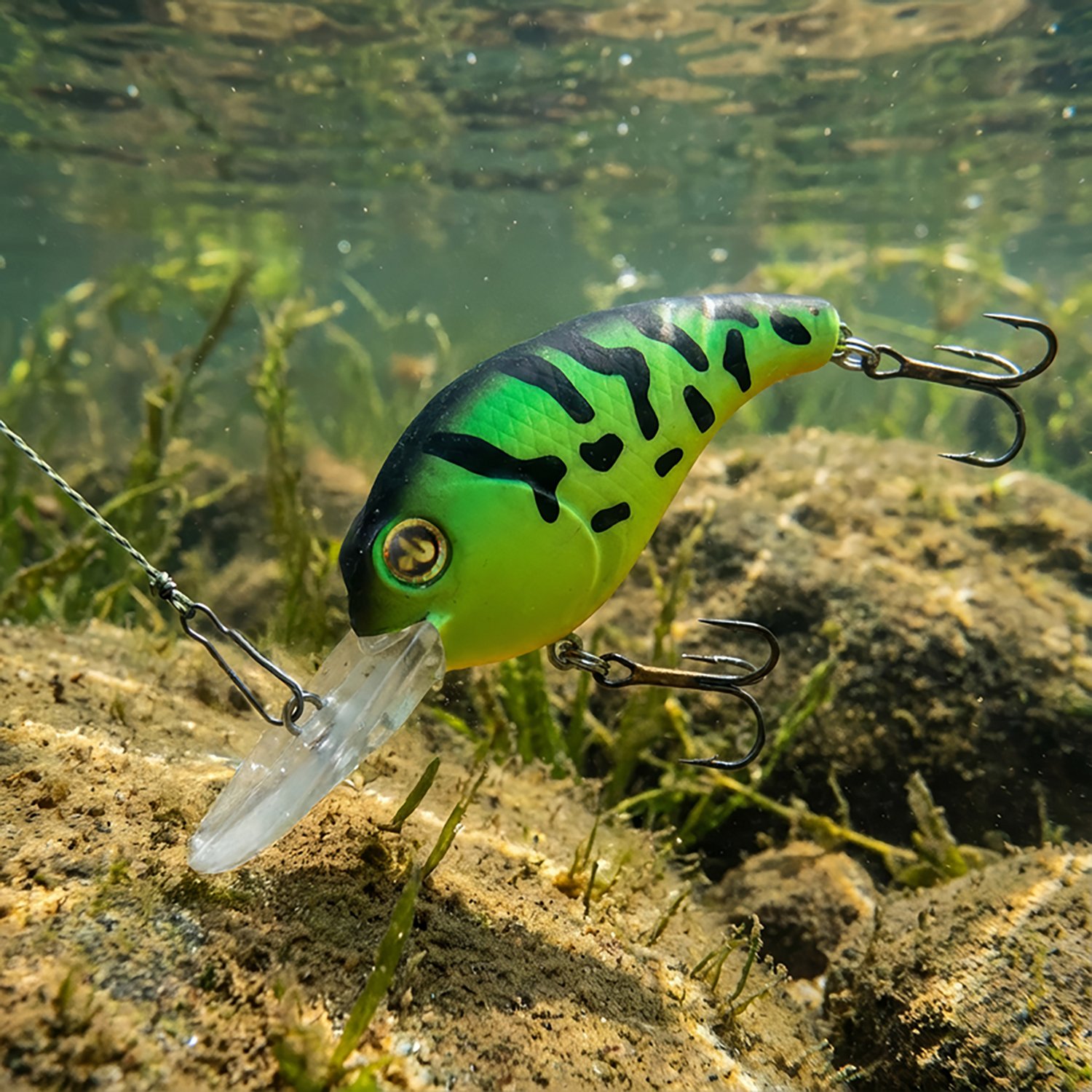 H2OX Model M Medium Diving Crankbait - view number 5