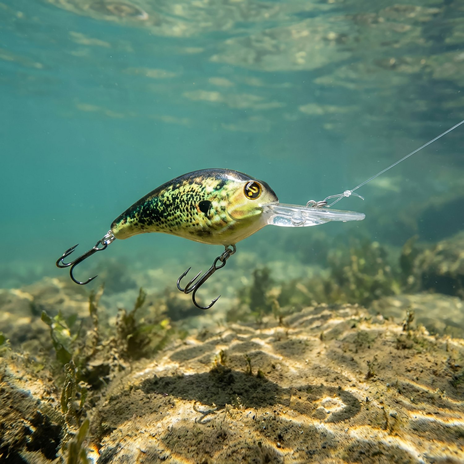 H2OX Model M Medium Diving Crankbait - view number 5