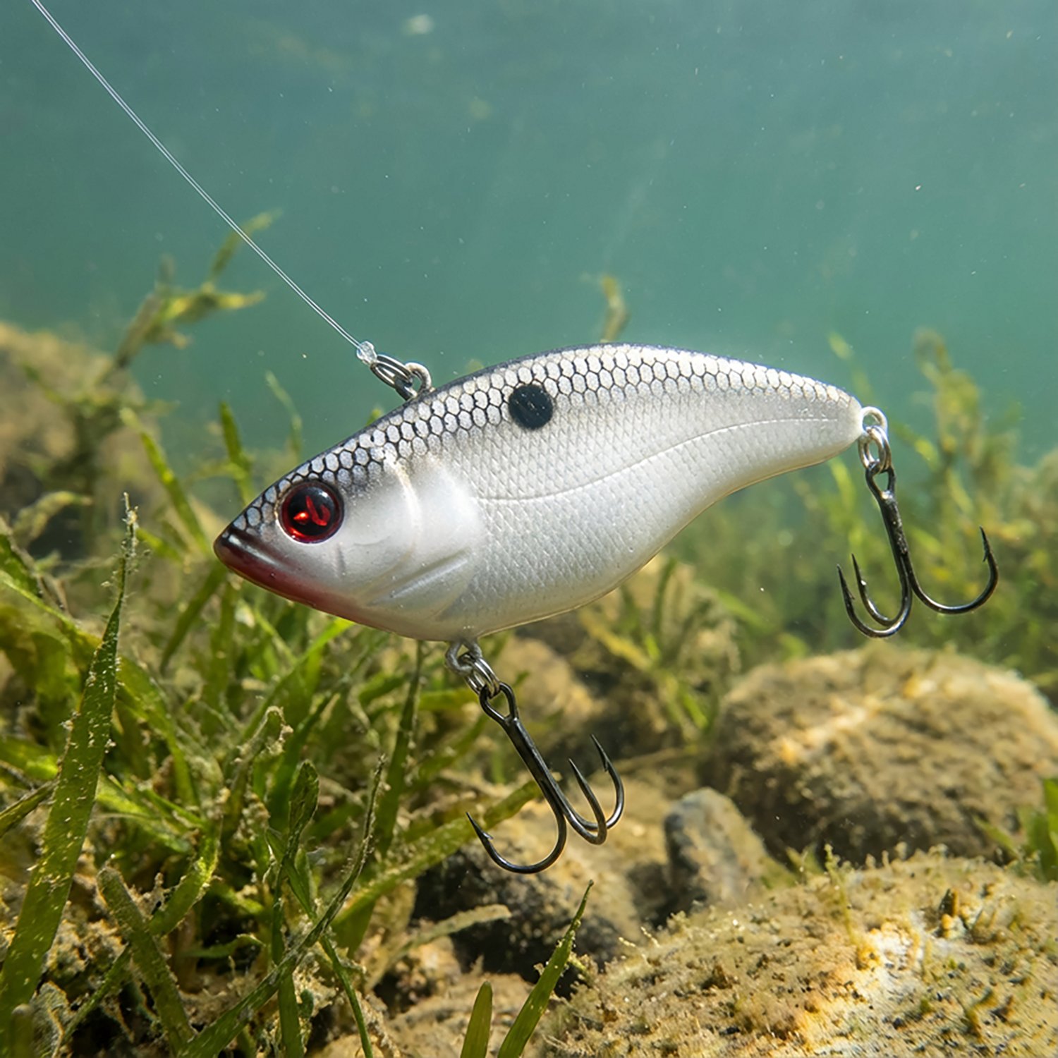 H2OX 5/8 oz Lipless Crankbait - view number 4