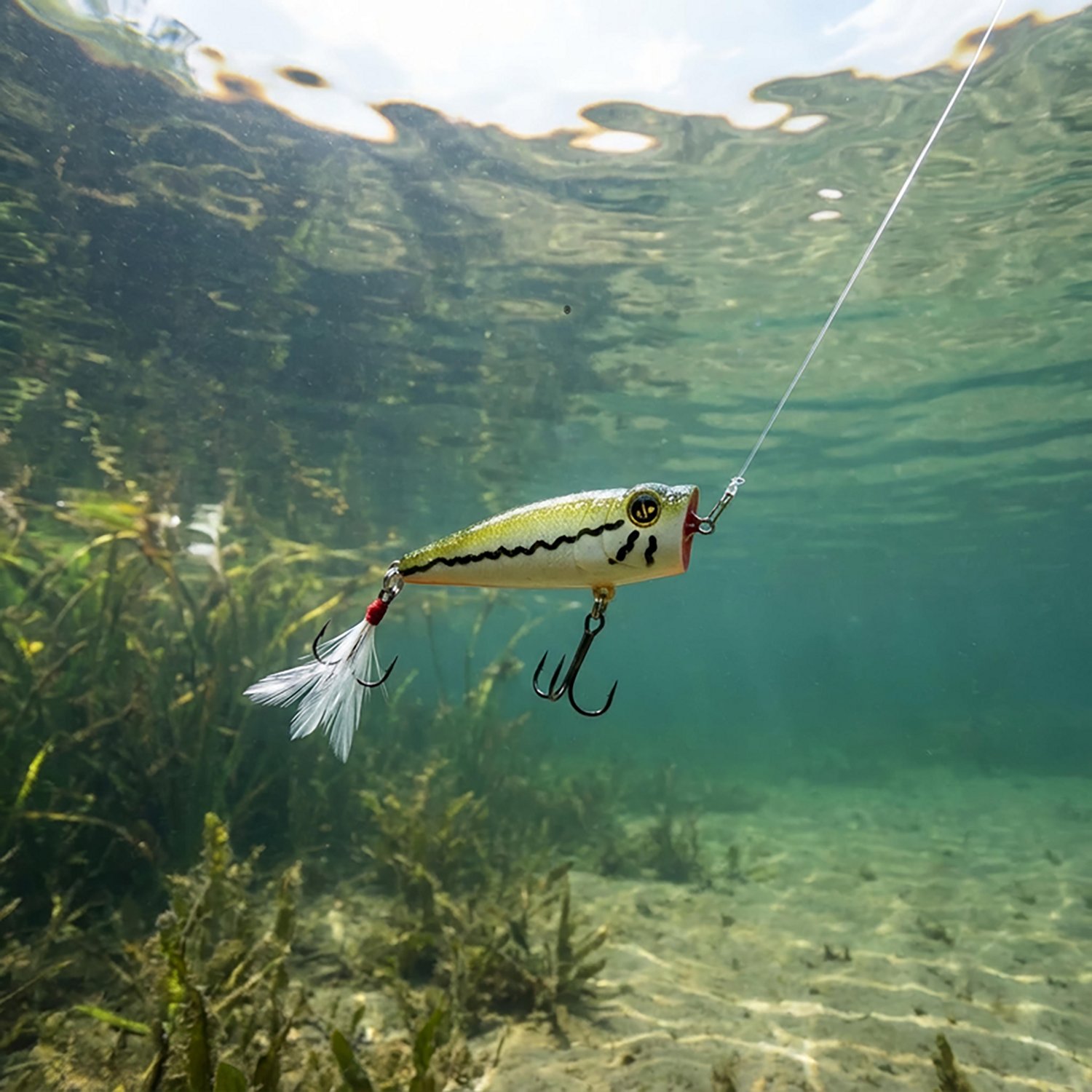 H2OX Top Water Popper - view number 4