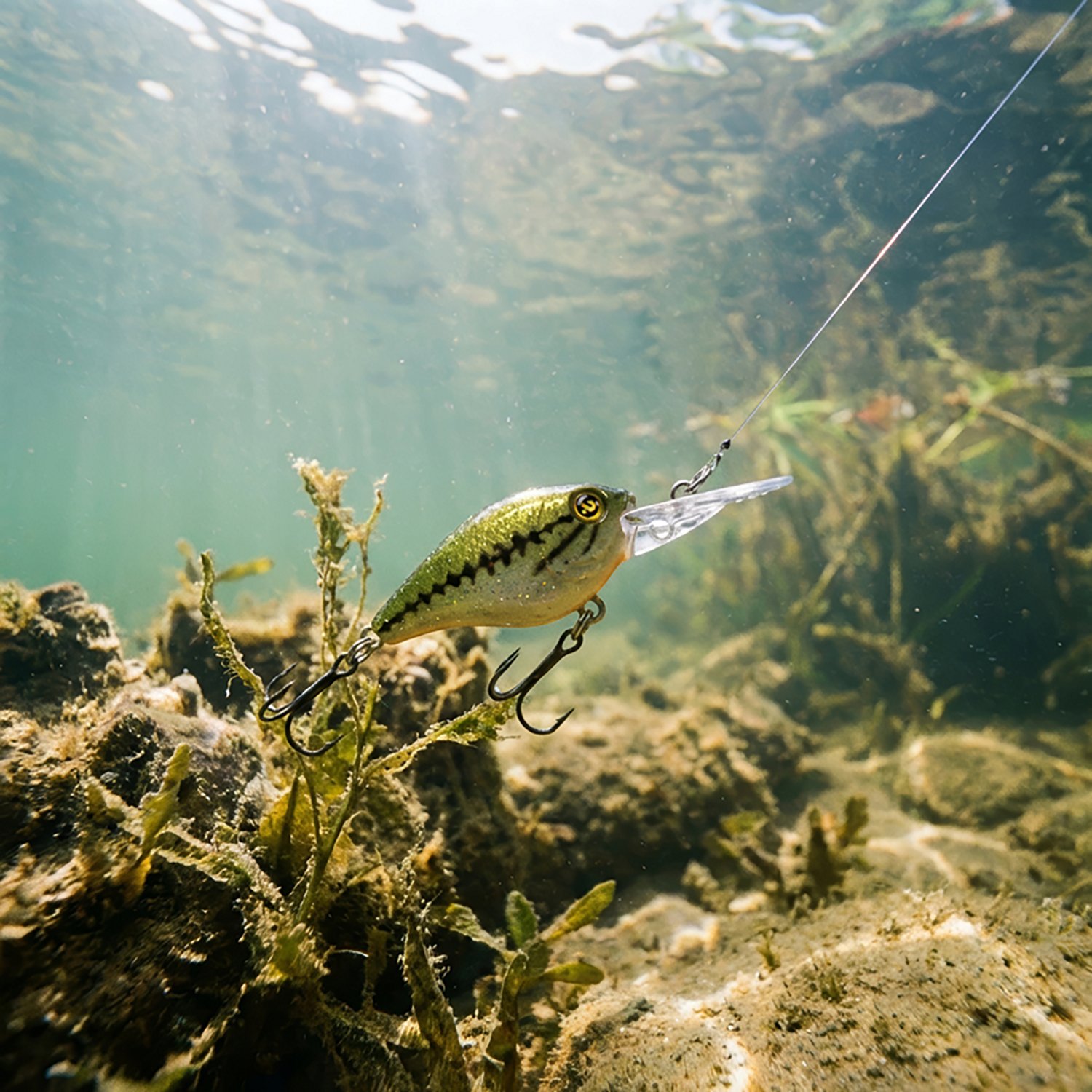 H2OX Medium Diving Ultra-Light Crankbait                                                                                         - view number 5