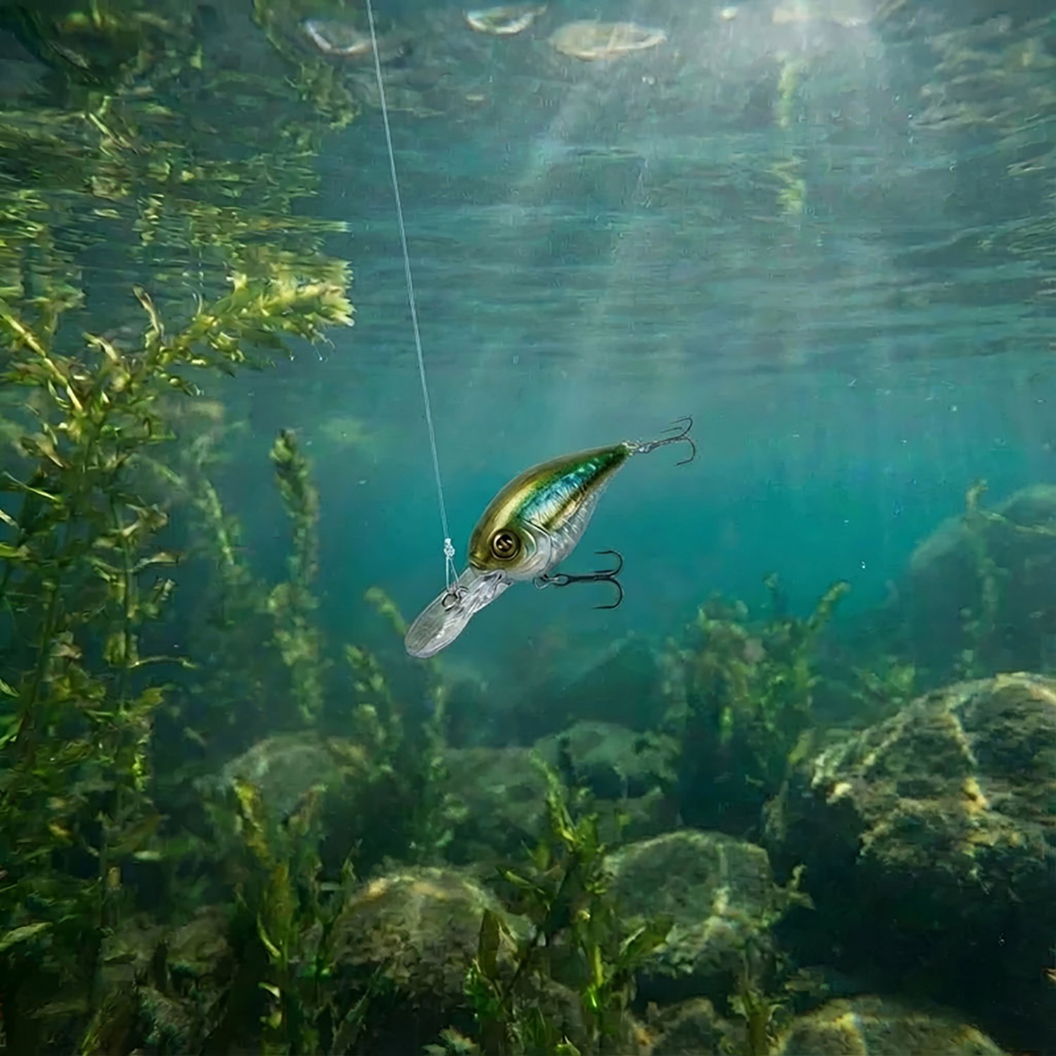 H2OX Medium Diving Ultra-Light Crankbait                                                                                         - view number 5