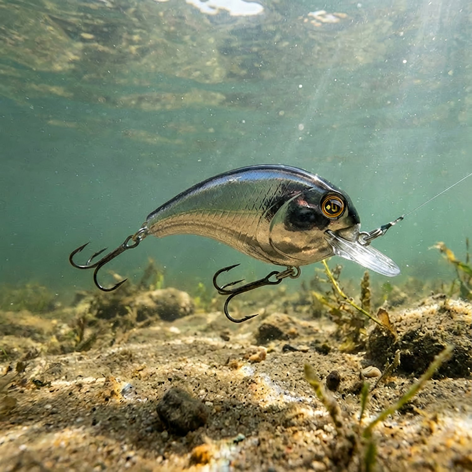 H2OX Model S Shallow Running Crankbait                                                                                           - view number 5