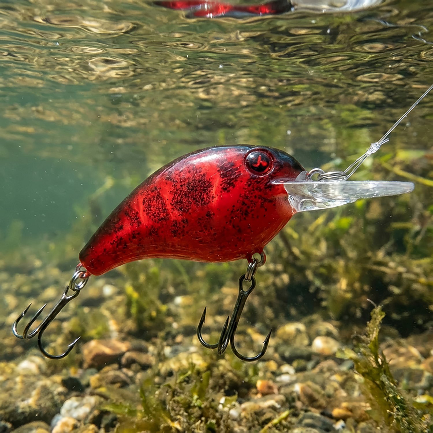 H2OX Model S Shallow Running Crankbait                                                                                           - view number 5