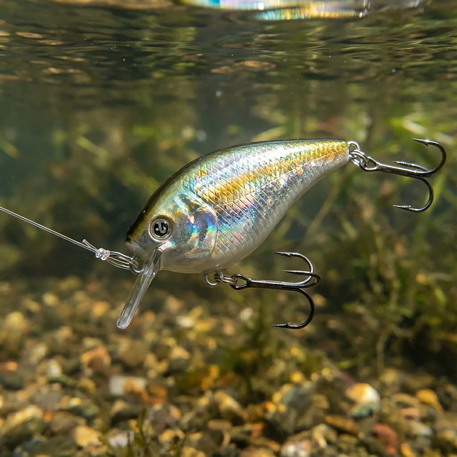 H2OX Premium Shallow Square Bill                                                                                                 - view number 5