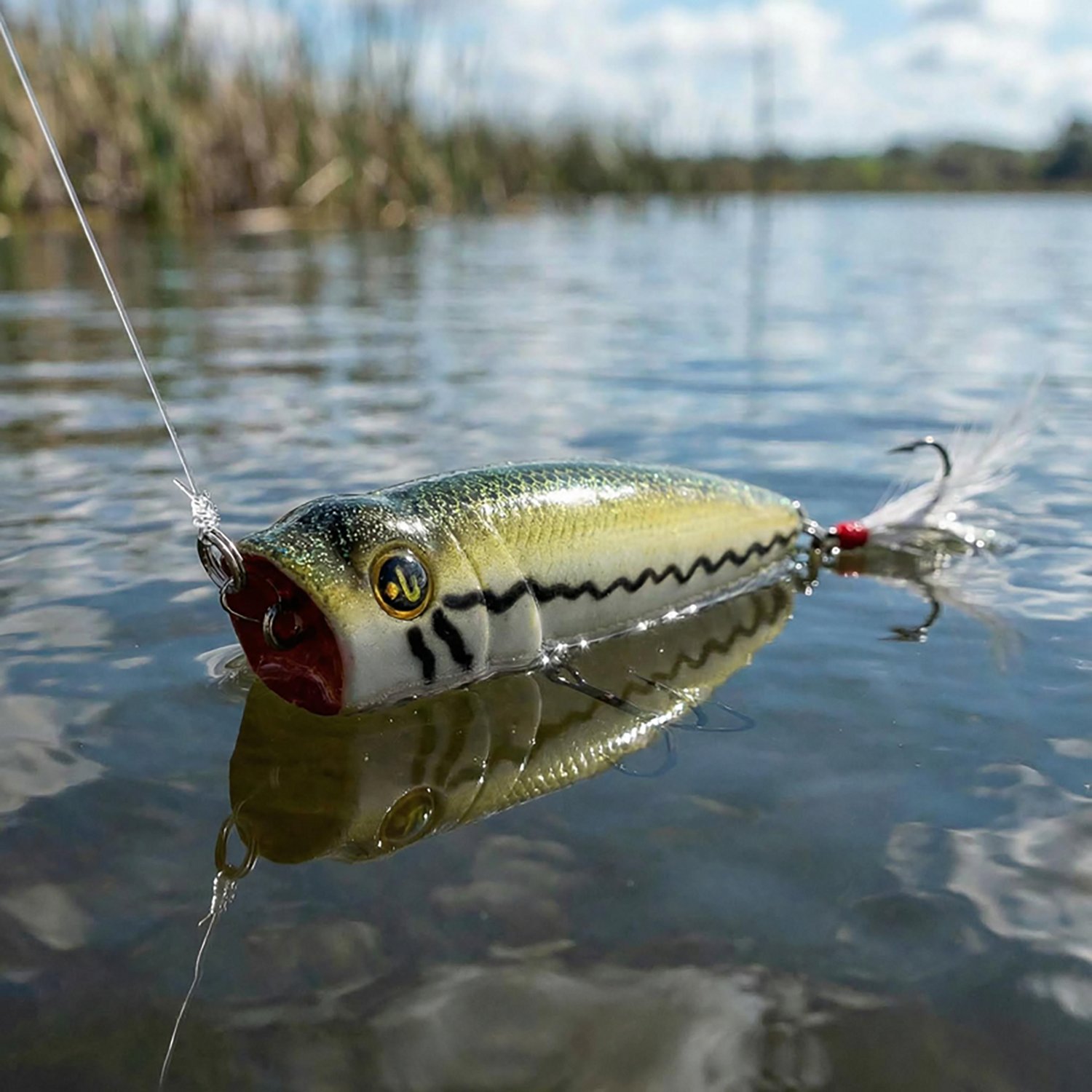 H2OX Mag Top Water Popper - view number 3