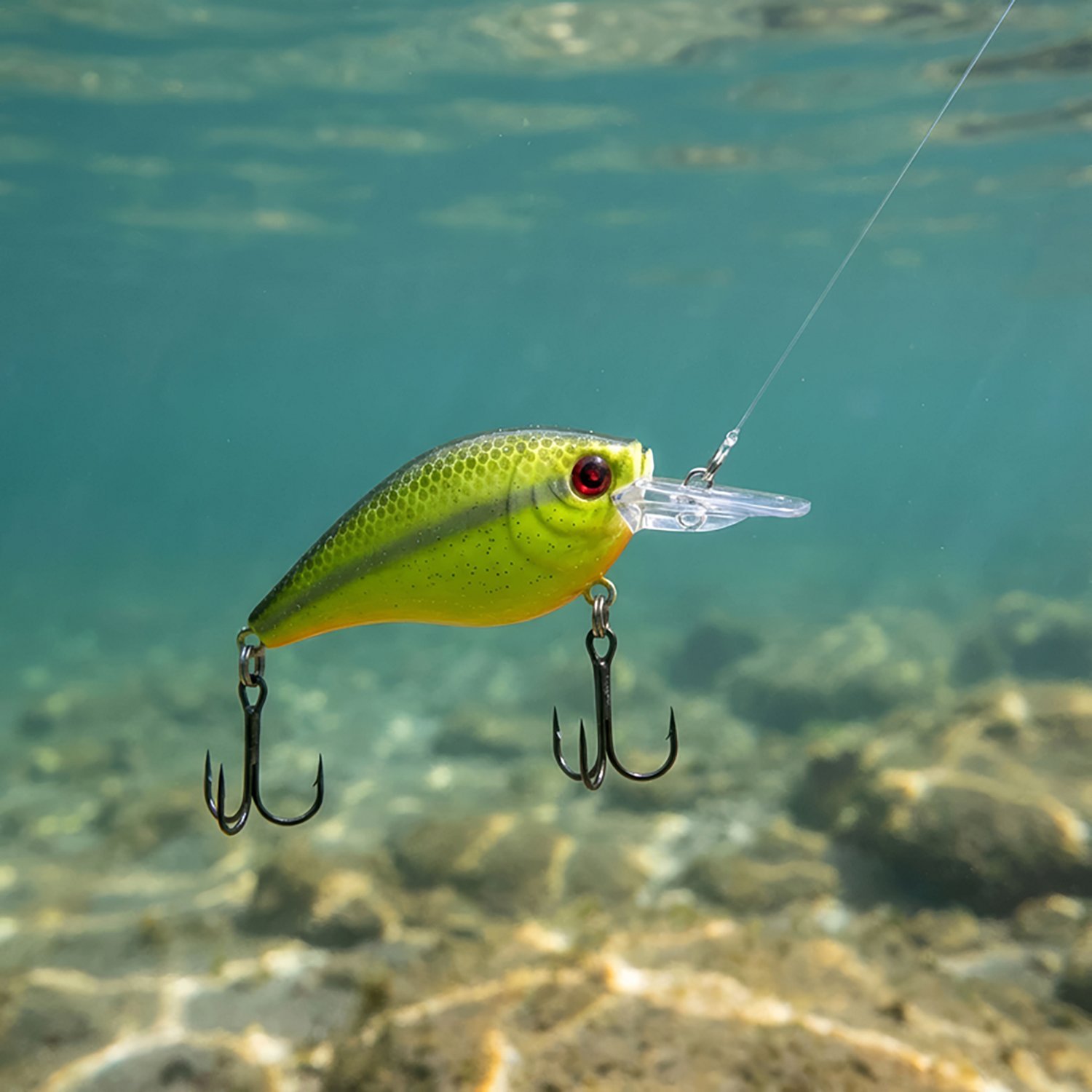 H2OX Premium Medium Diving Square Bill Bait                                                                                      - view number 5