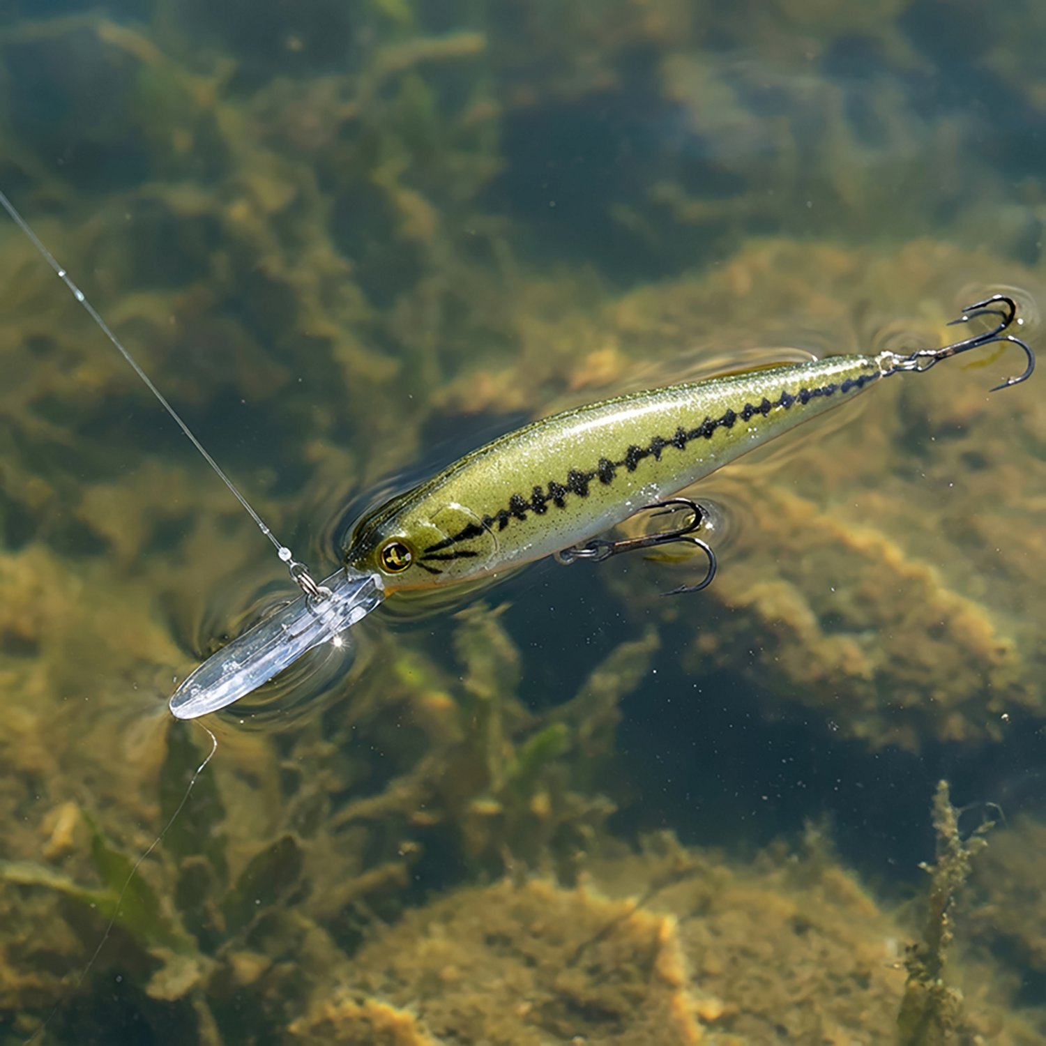 H2OX Premium Suspending Jerk Shad Bait                                                                                           - view number 5