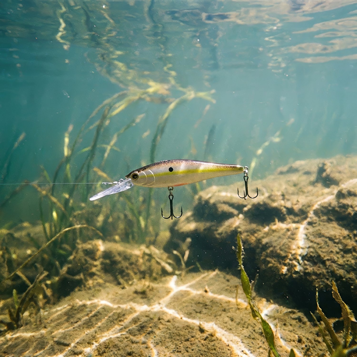 H2OX Premium Suspending Jerk Shad Bait                                                                                           - view number 5