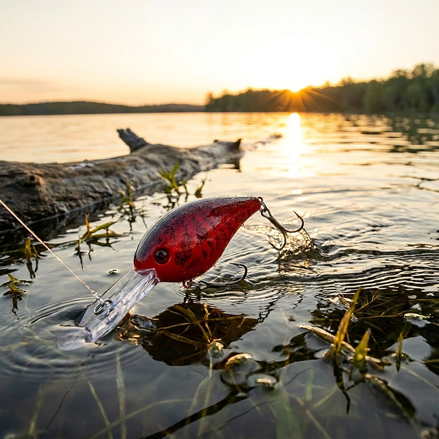 H2OX Premium Deep Diving Crankbait - view number 5