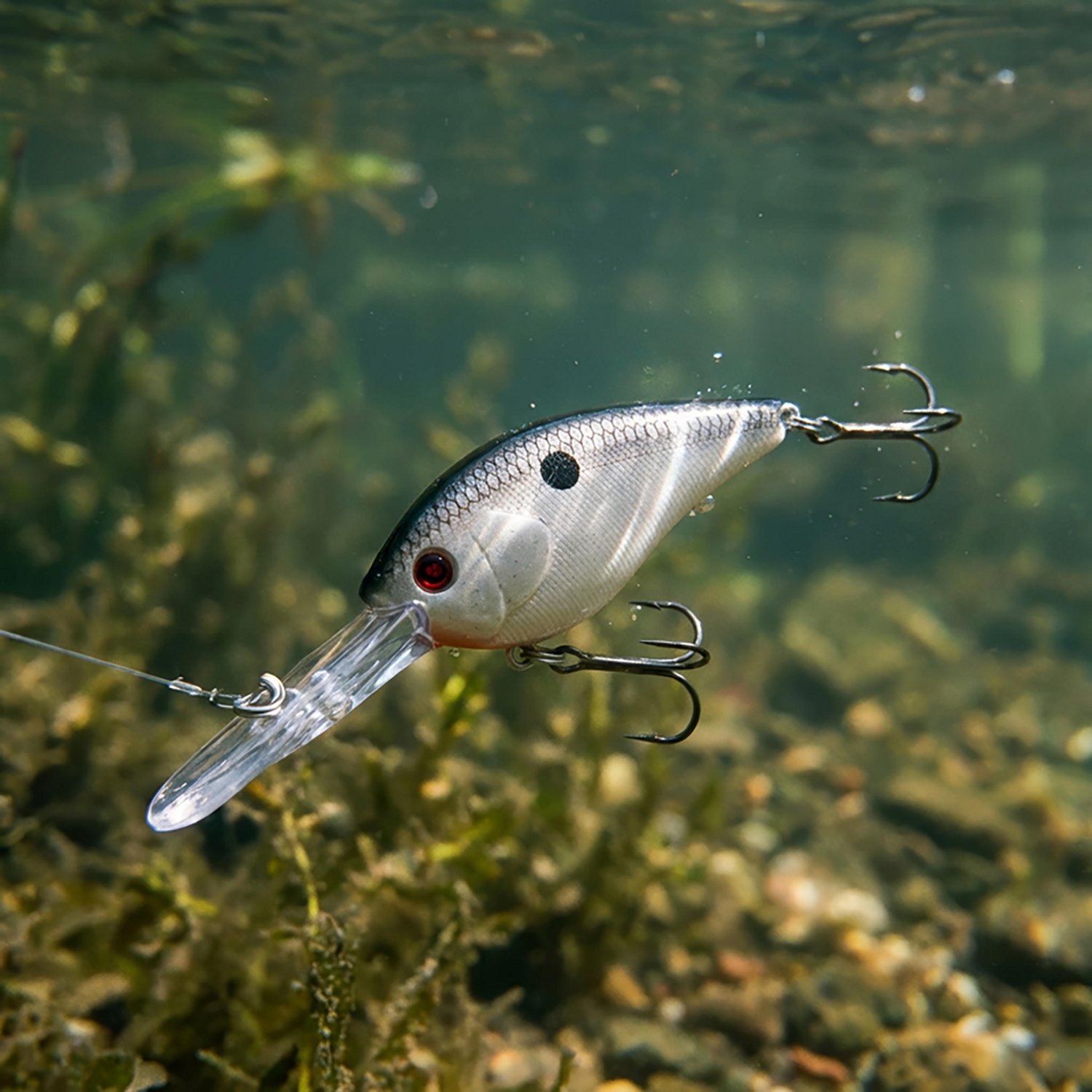 H2OX Premium Deep Diving Crankbait - view number 5