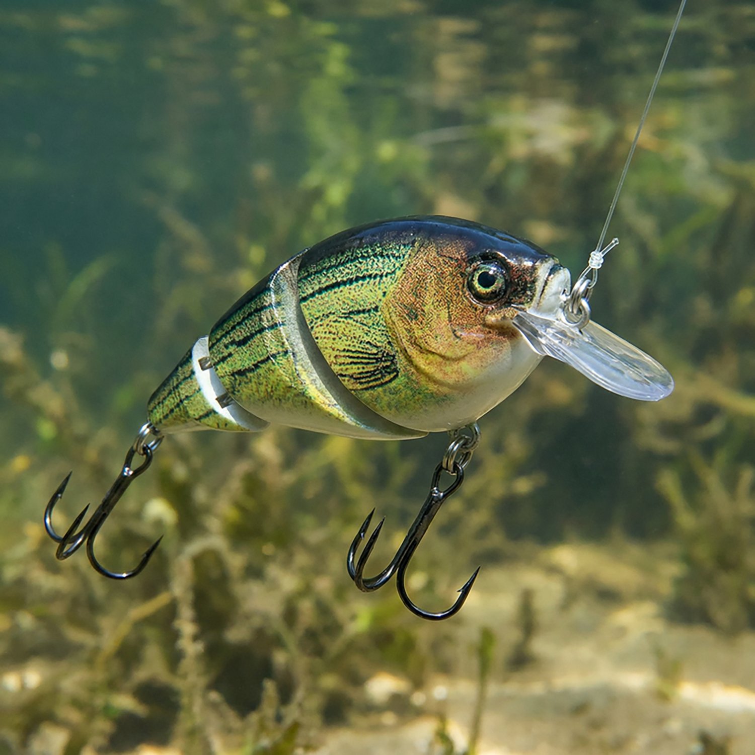 H2OX Premium Jointed Square Bill Bait - view number 4