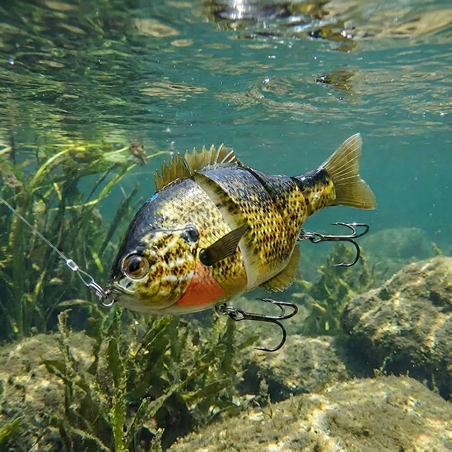 H2OX Sinking Hybrid Jerk Sun Fish Bait - view number 4