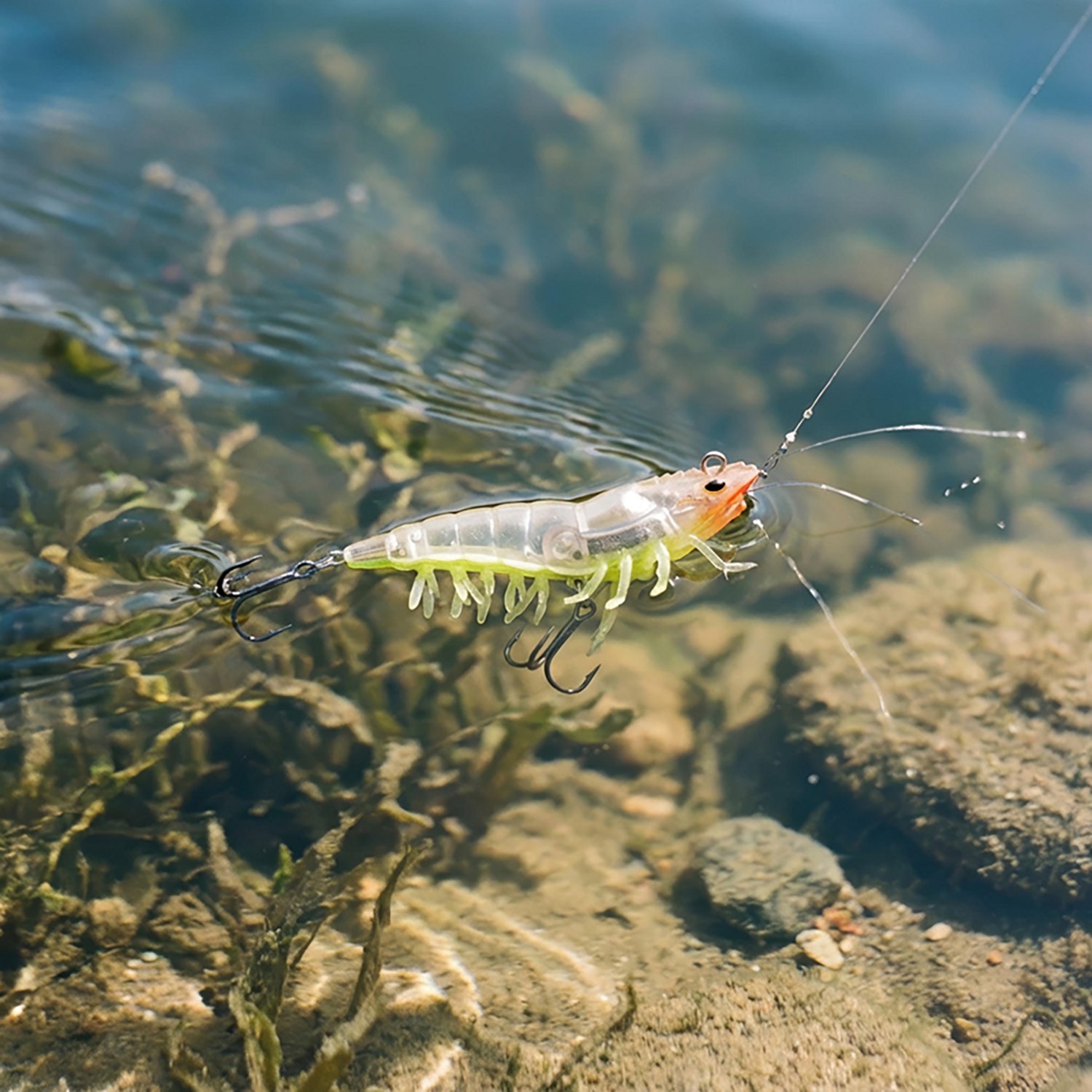 H2OX 3 inch Hover Shrimp - view number 4