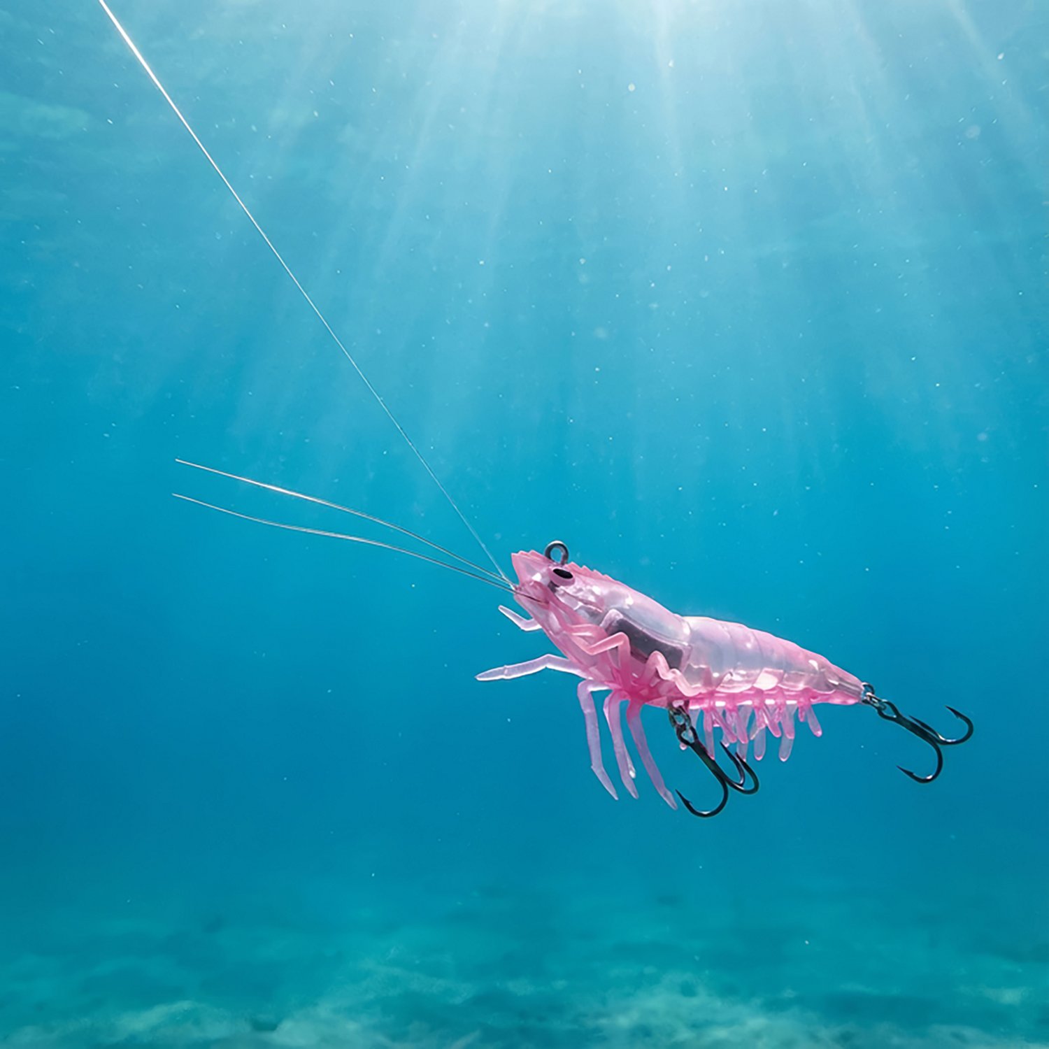 H2OX 3 inch Hover Shrimp - view number 4