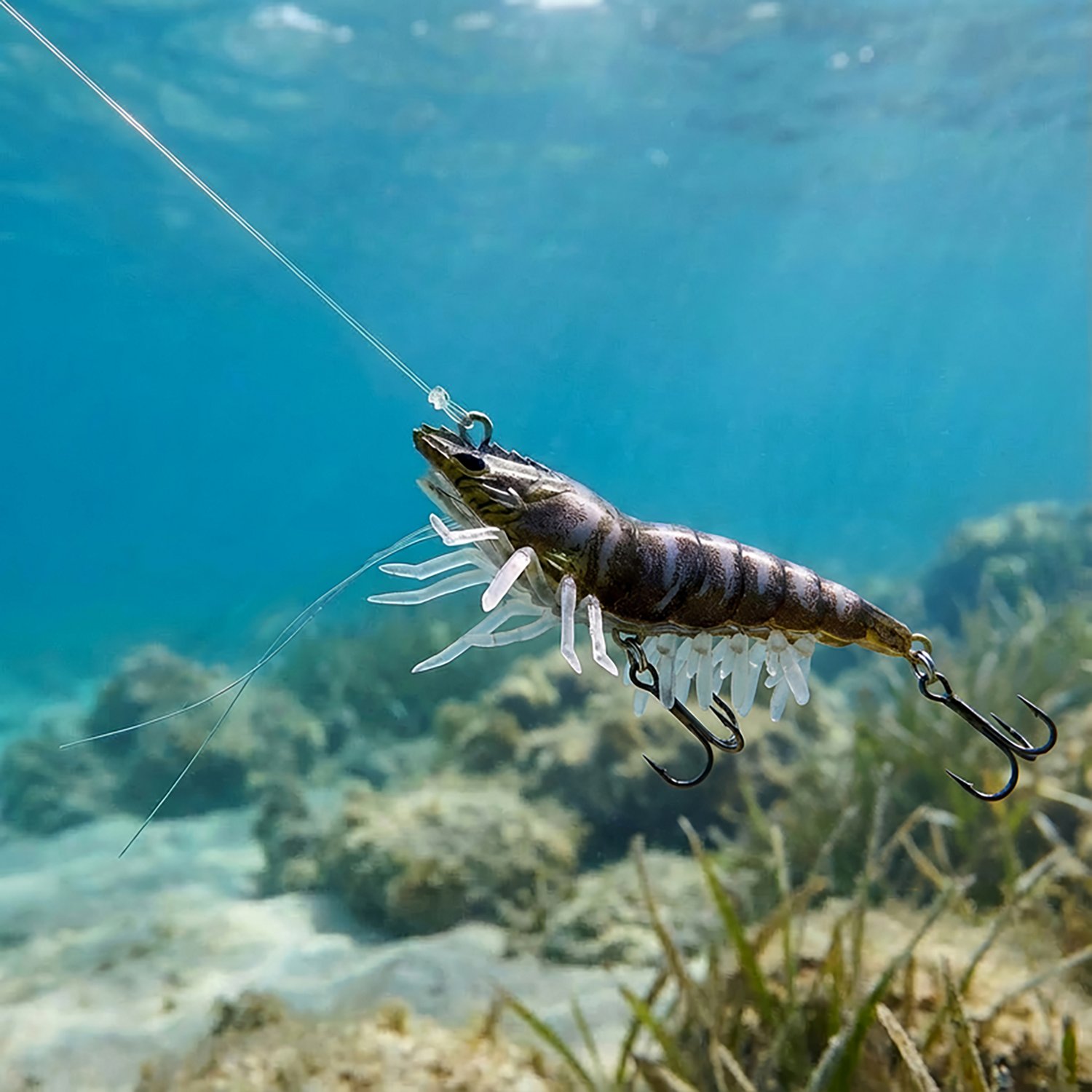 ルアー・フライ AHPL MOKUHEN 3 OPPAI Jointed Wing Noisy H2OX 3 inch Hover Shrimp | Academy