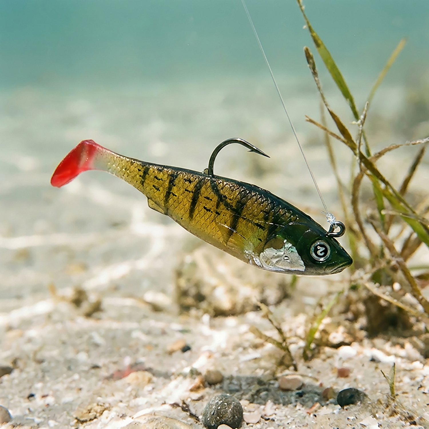 H2OX 3 inch Saltwater Prerigged Swim Shad 3 Pack                                                                                 - view number 4