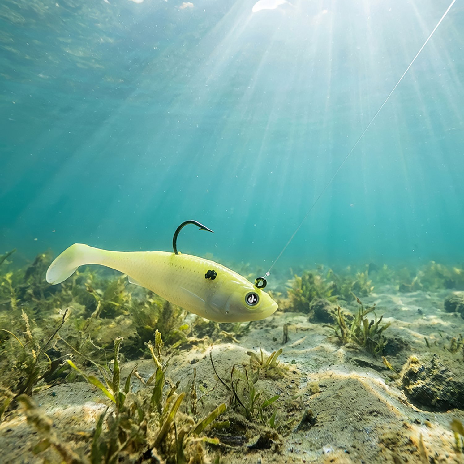 H2OX 3 inch Saltwater Prerigged Swim Shad 3 Pack                                                                                 - view number 4