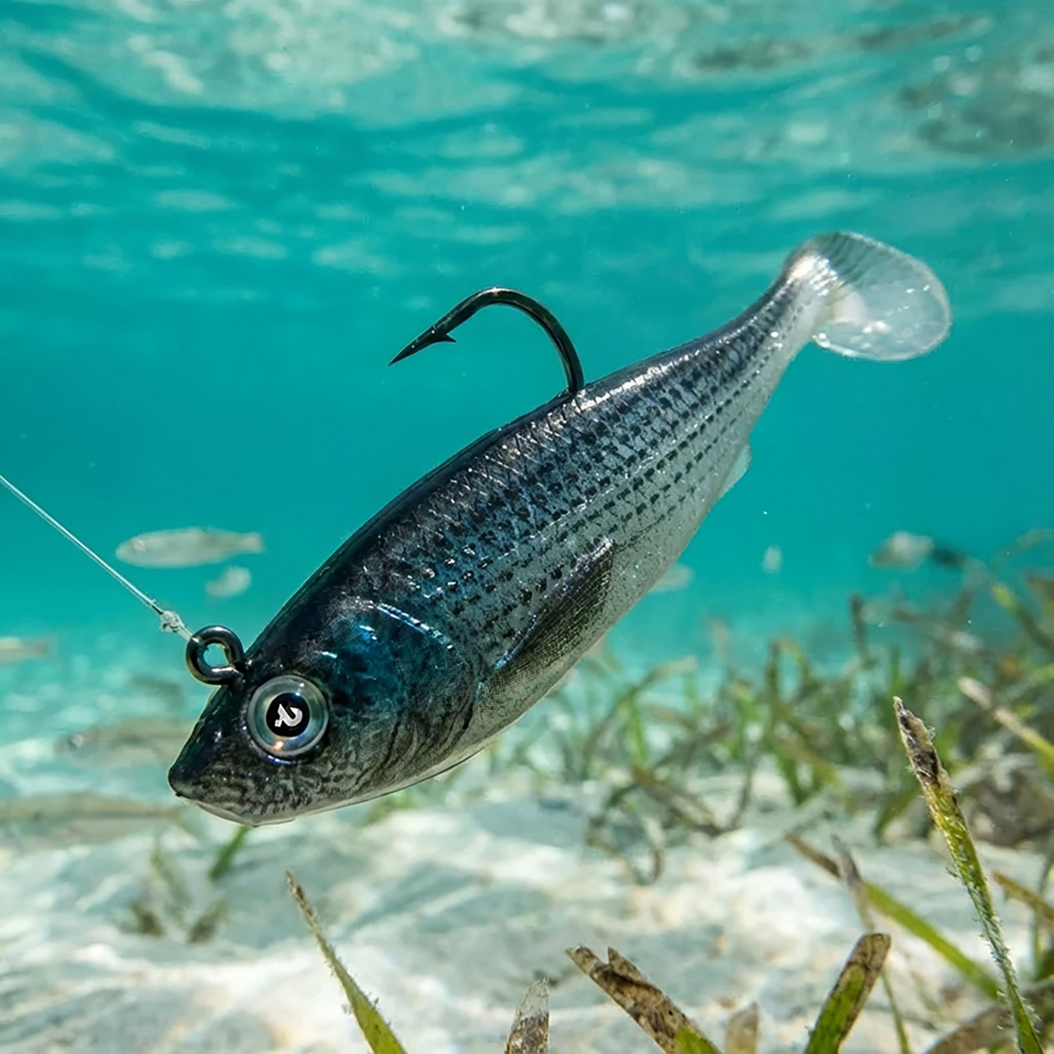 H2OX 3 inch Saltwater Prerigged Swim Shad 3 Pack                                                                                 - view number 4