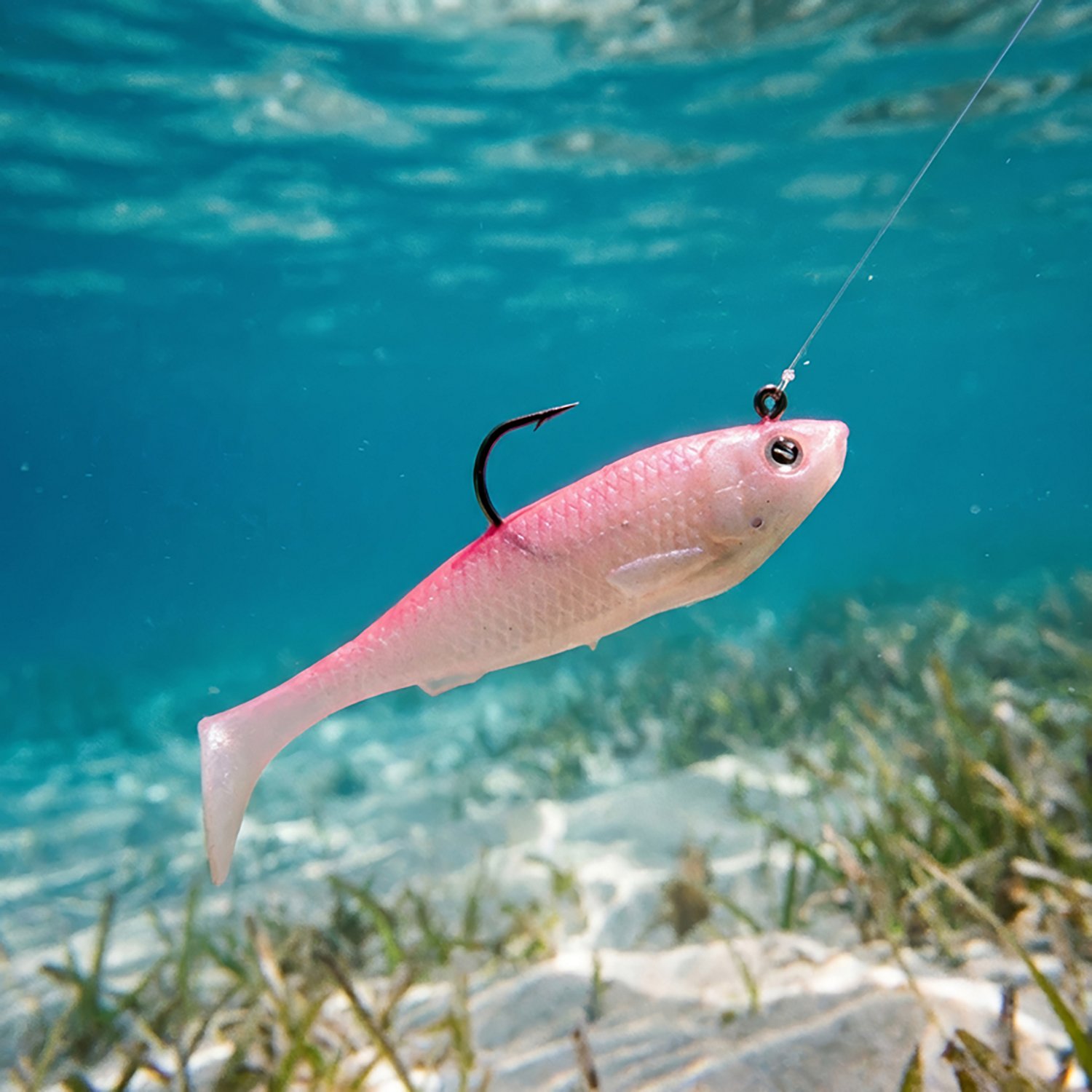 H2OX 3 inch Saltwater Prerigged Swim Shad 3 Pack                                                                                 - view number 4