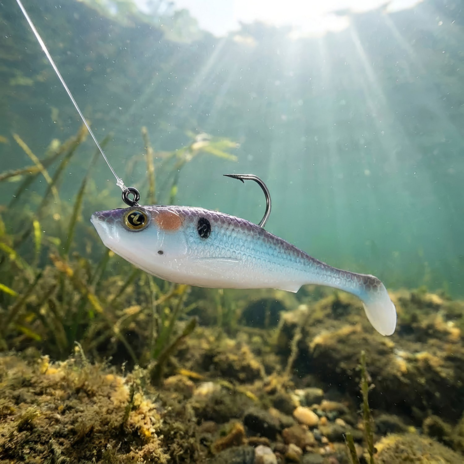 H2OX 3 inch Prerigged Swim Shad                                                                                                  - view number 4