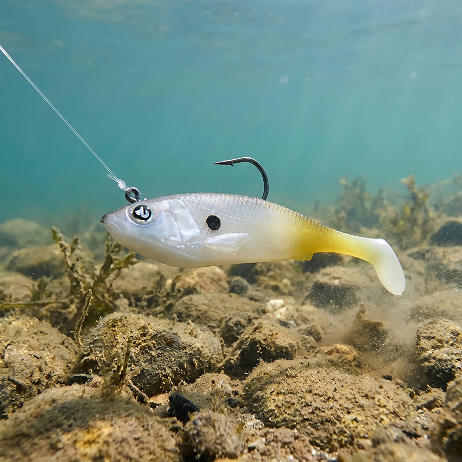 H2OX 4 inch Prerigged Swim Baits - view number 4