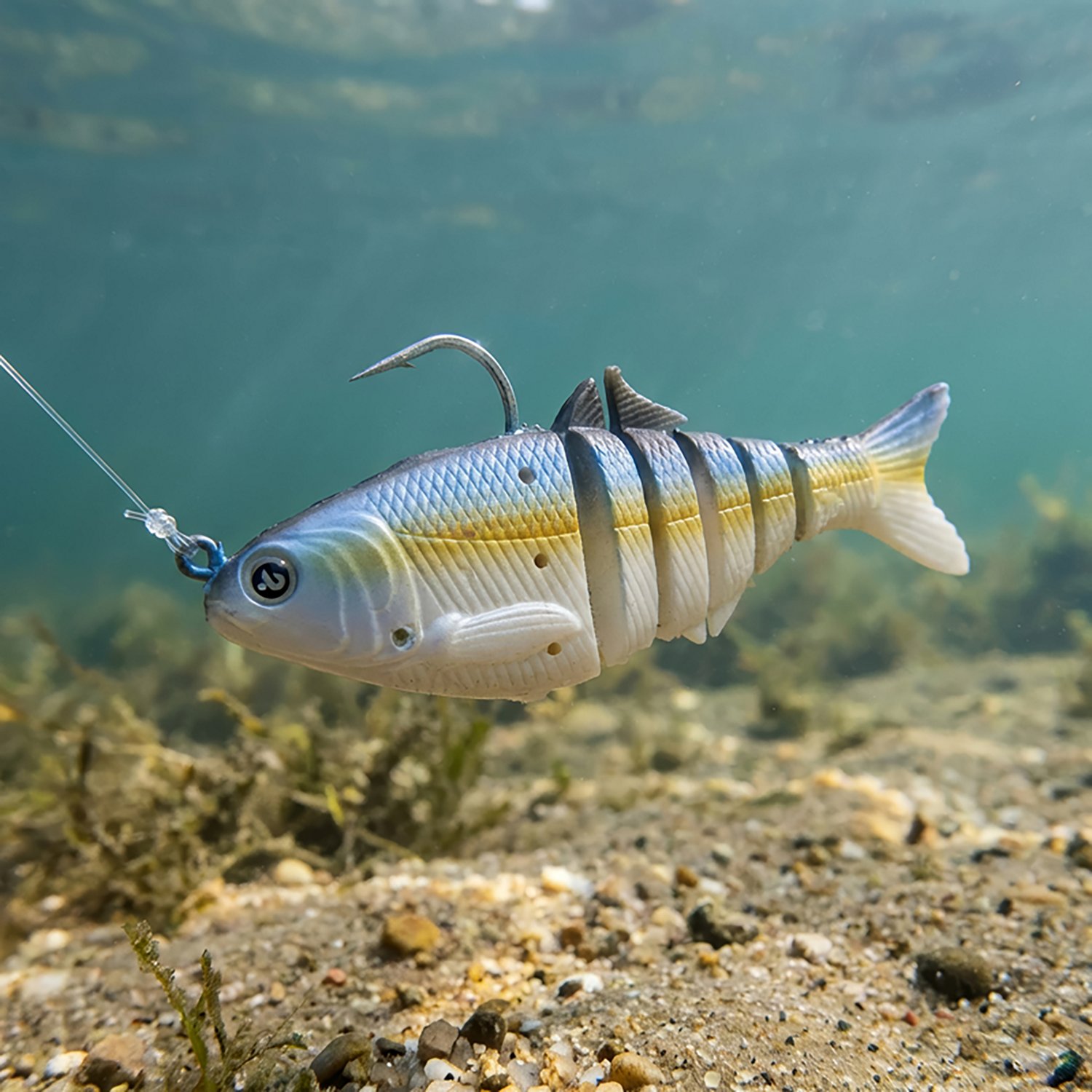 H2OX 3.5 inch Multi Joint Shad Swim Bait - view number 4