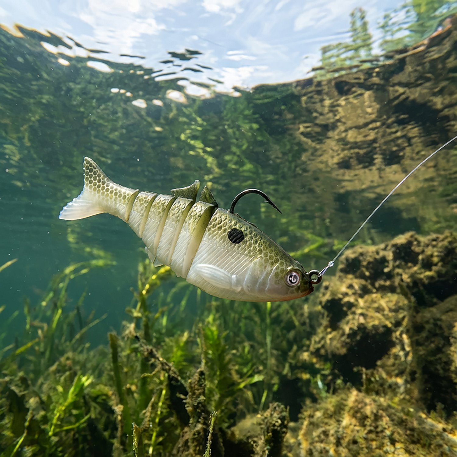 H2OX 3.5 inch Multi Joint Shad Swim Bait - view number 4