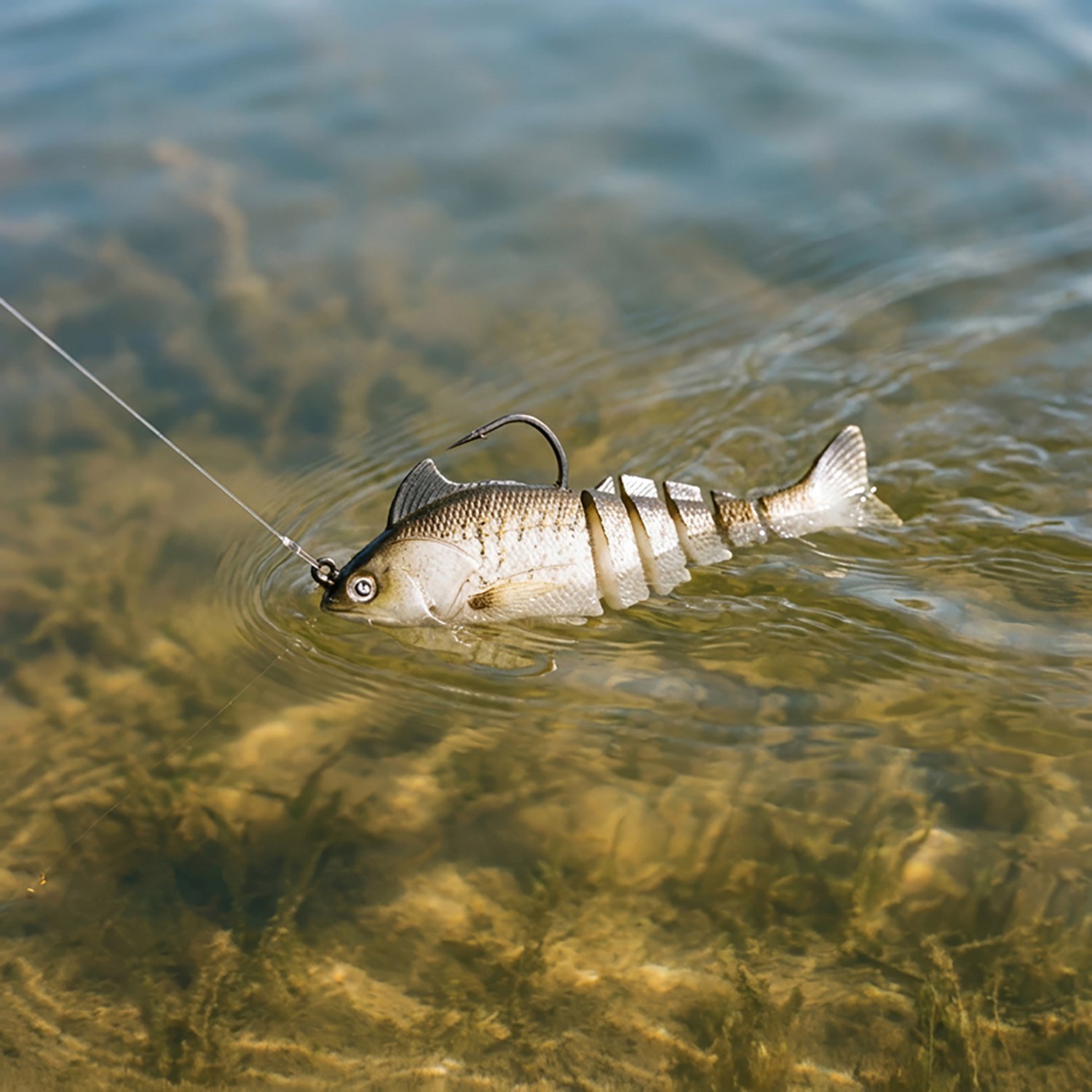 H2OX 4 inch Crazy Croaker 2 Pack                                                                                                 - view number 4