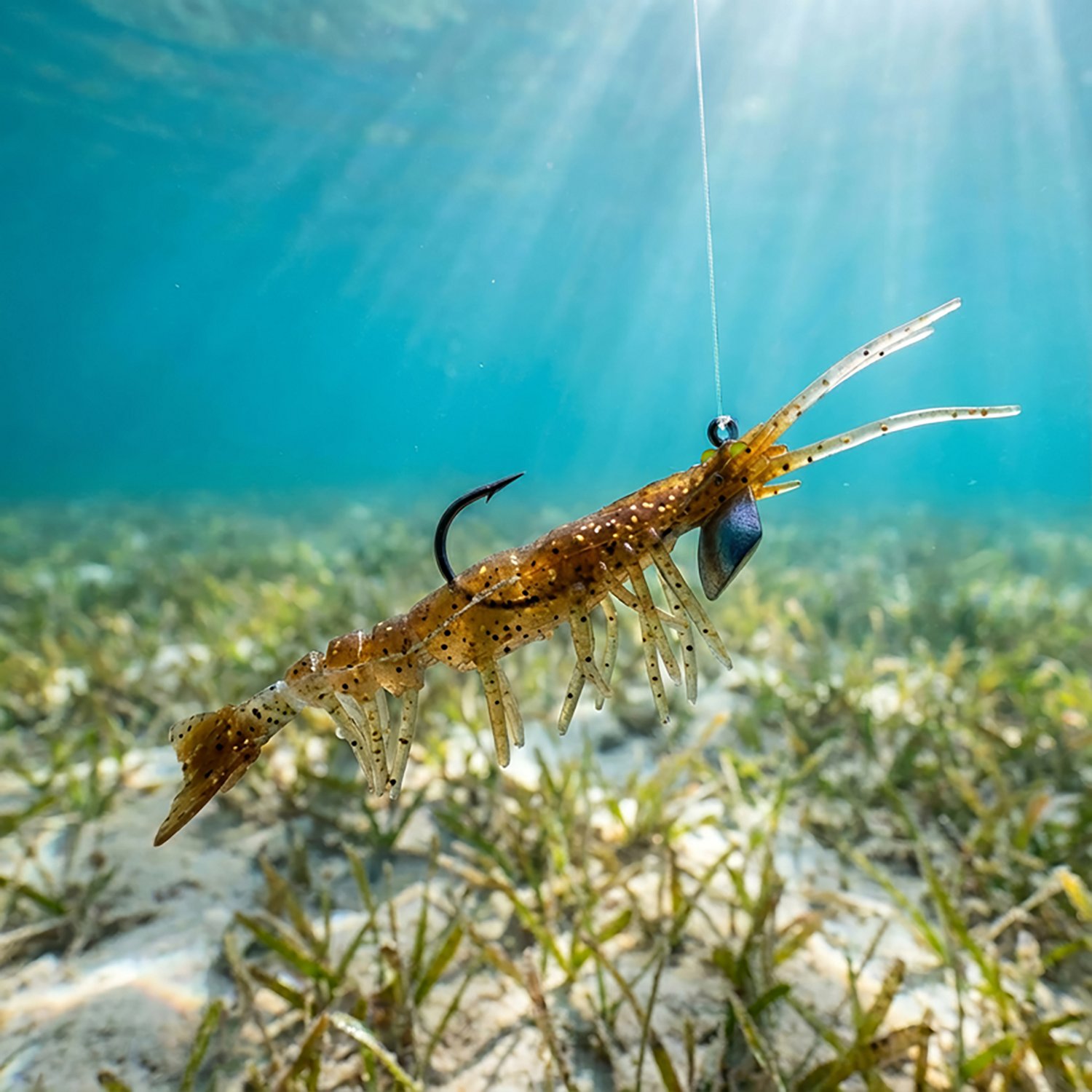 H2OX 3 inch Mojo Shrimp 2 Pack - view number 4