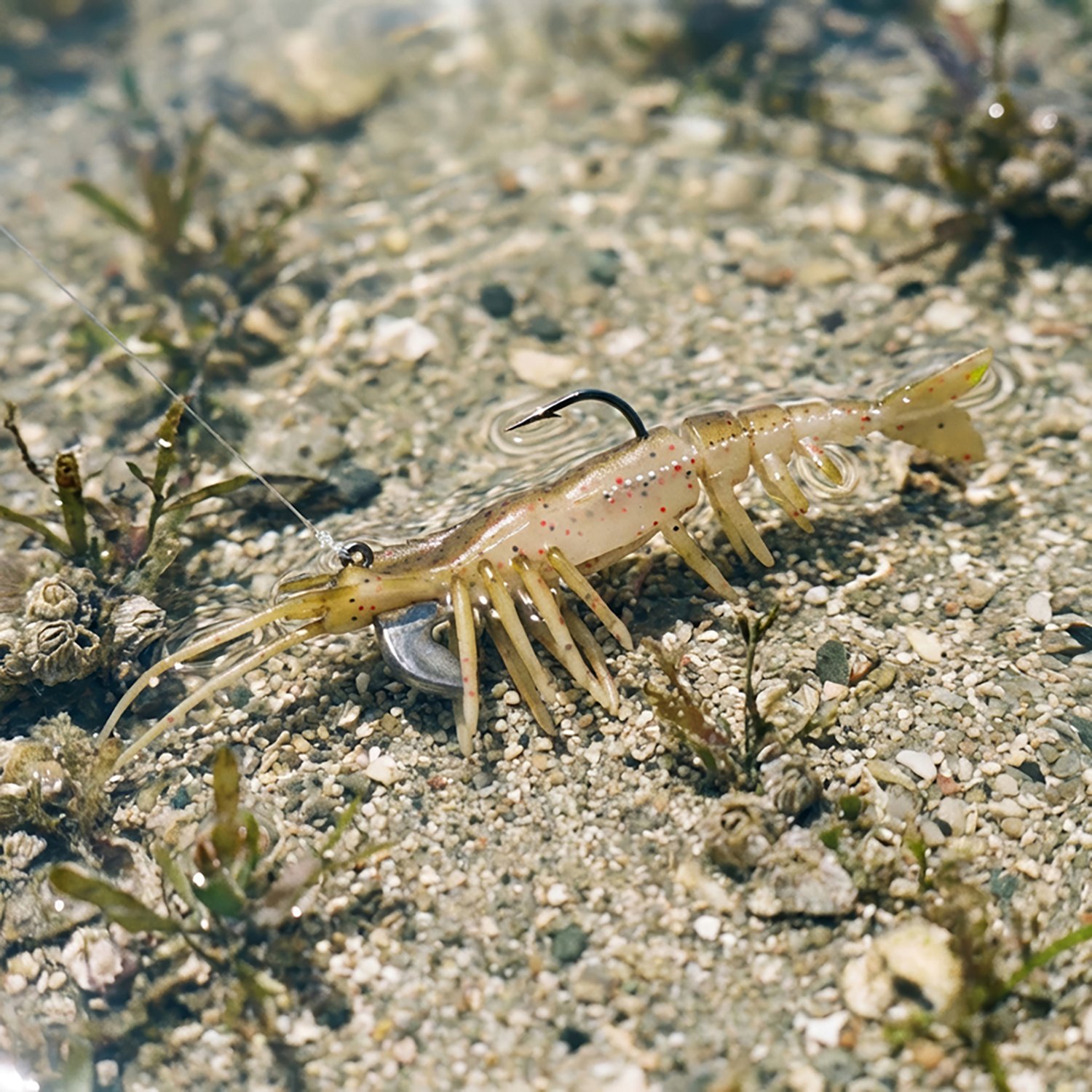 H2OX 4 inch Mojo Shrimp 2 Pack - view number 5