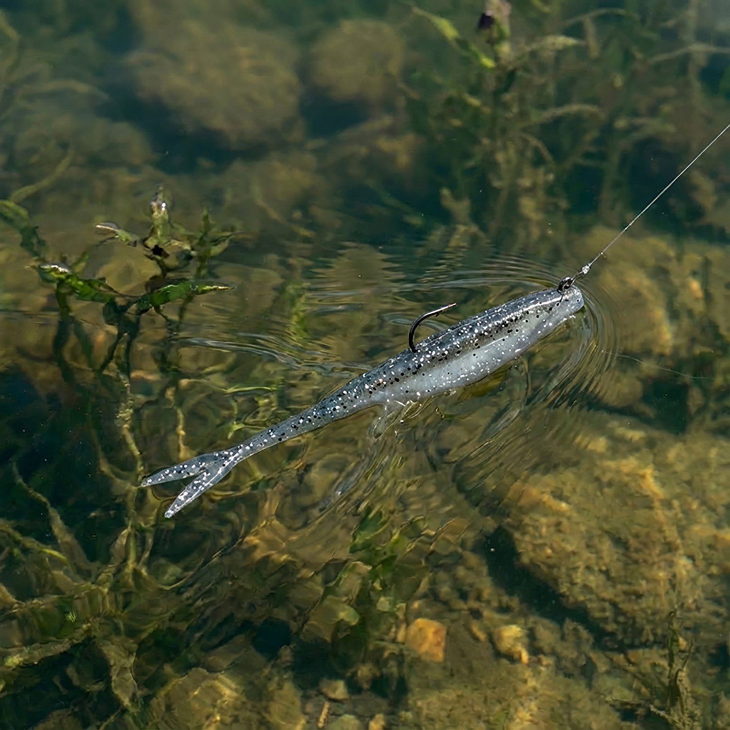 H2OX 5 inch Soft Jerk Shad Bait 12 Pack - view number 4