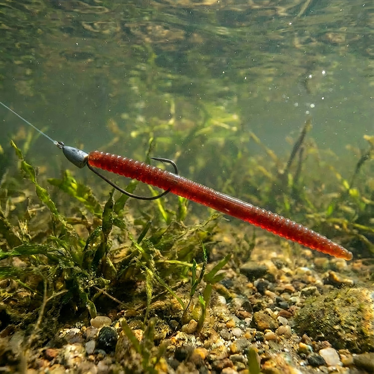 H2OX 6 inch Straight Tail Worm 12 Pack - view number 4