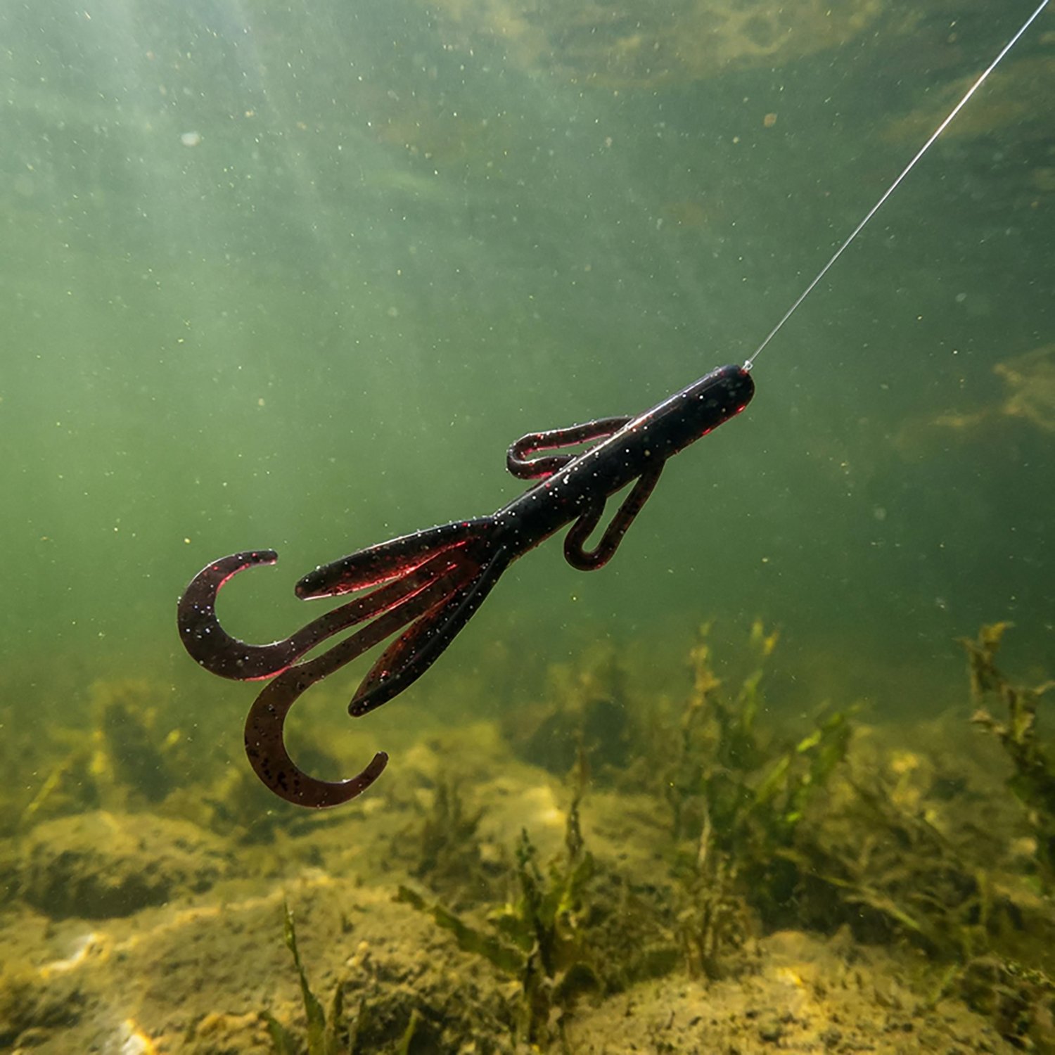 H2OX 4 inch Creature Bait 12 Pack