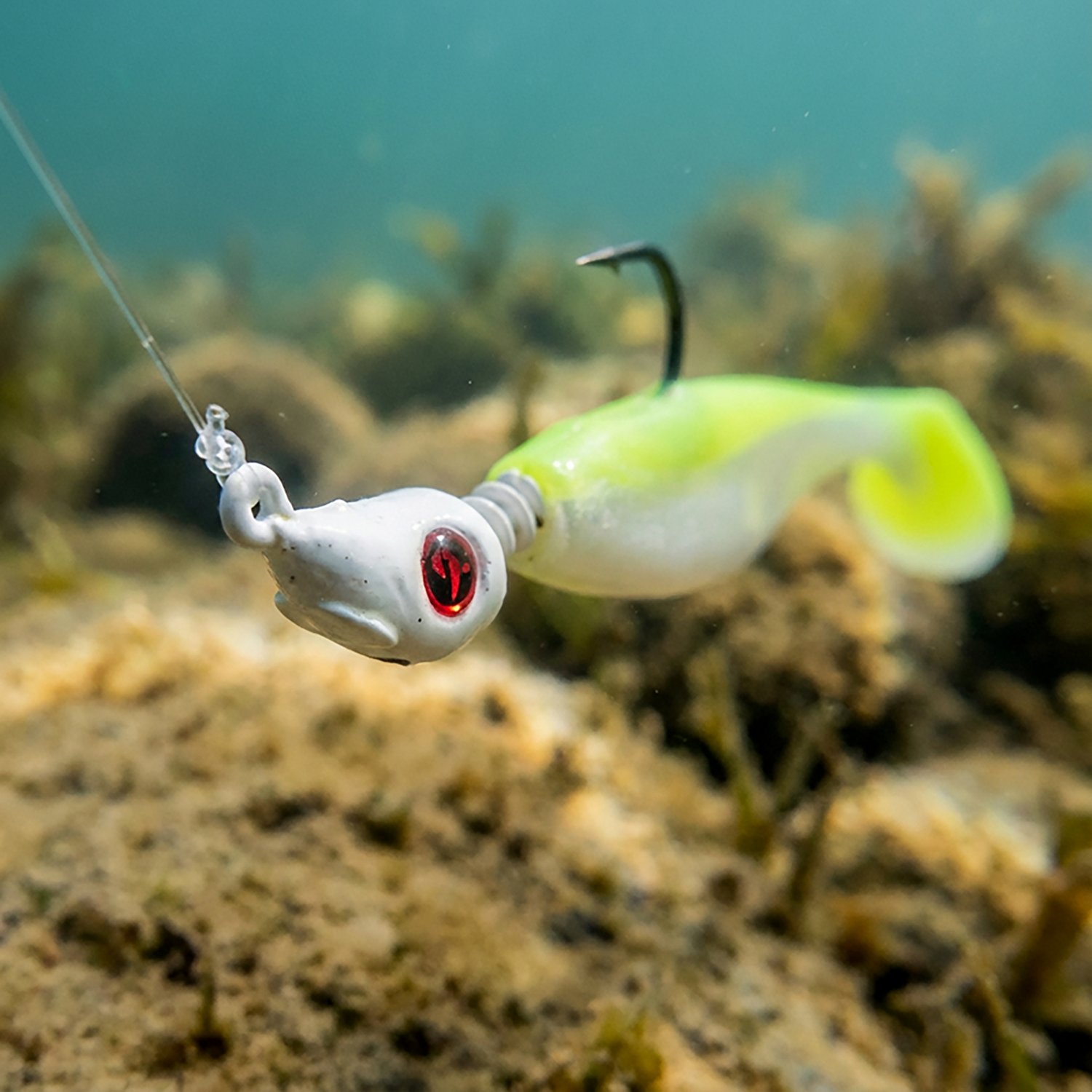 H2OX Flats Minnow Jig Heads 5-Pack with 2/0 Hooks - view number 4