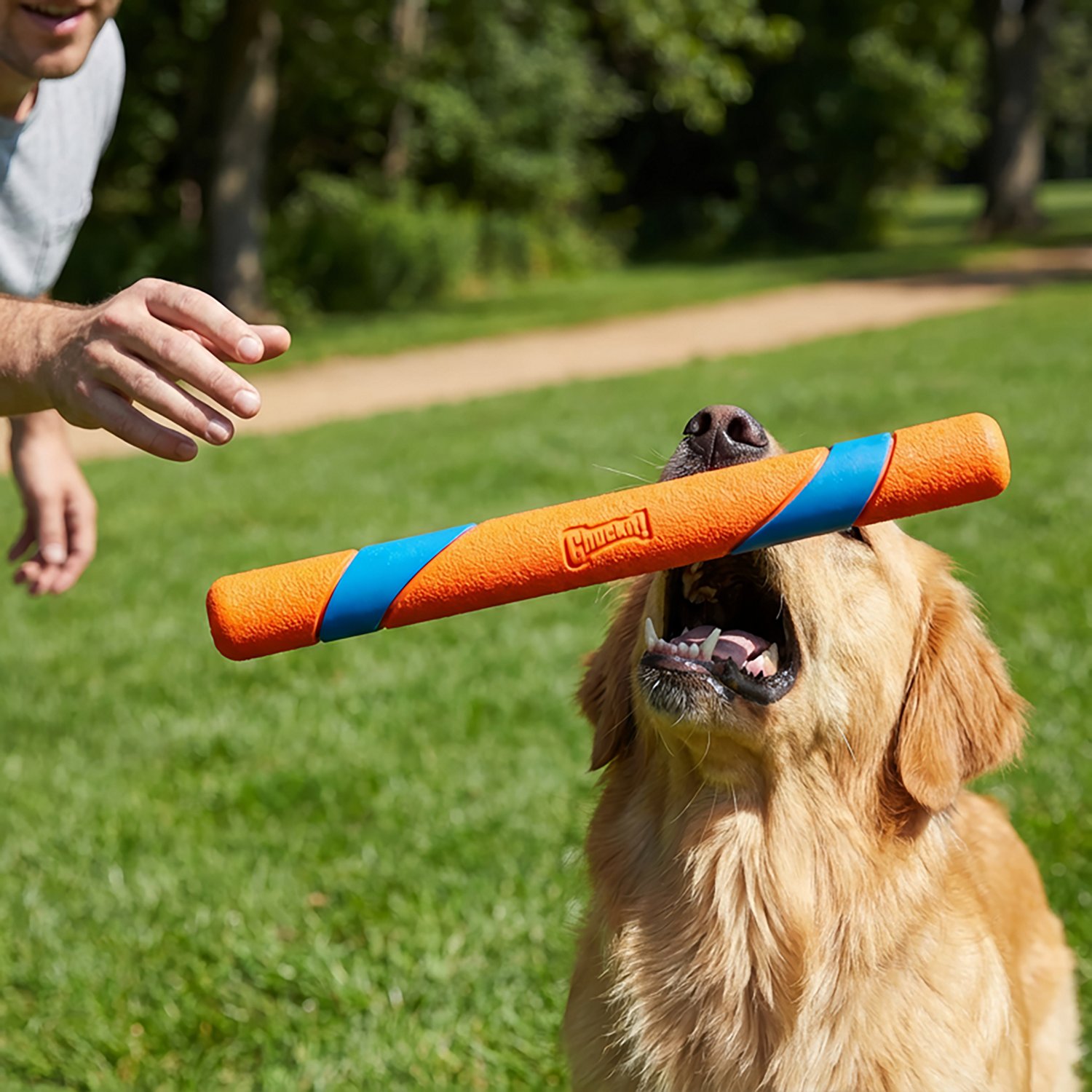 Chuckit! Ultra Fetch Stick - view number 5