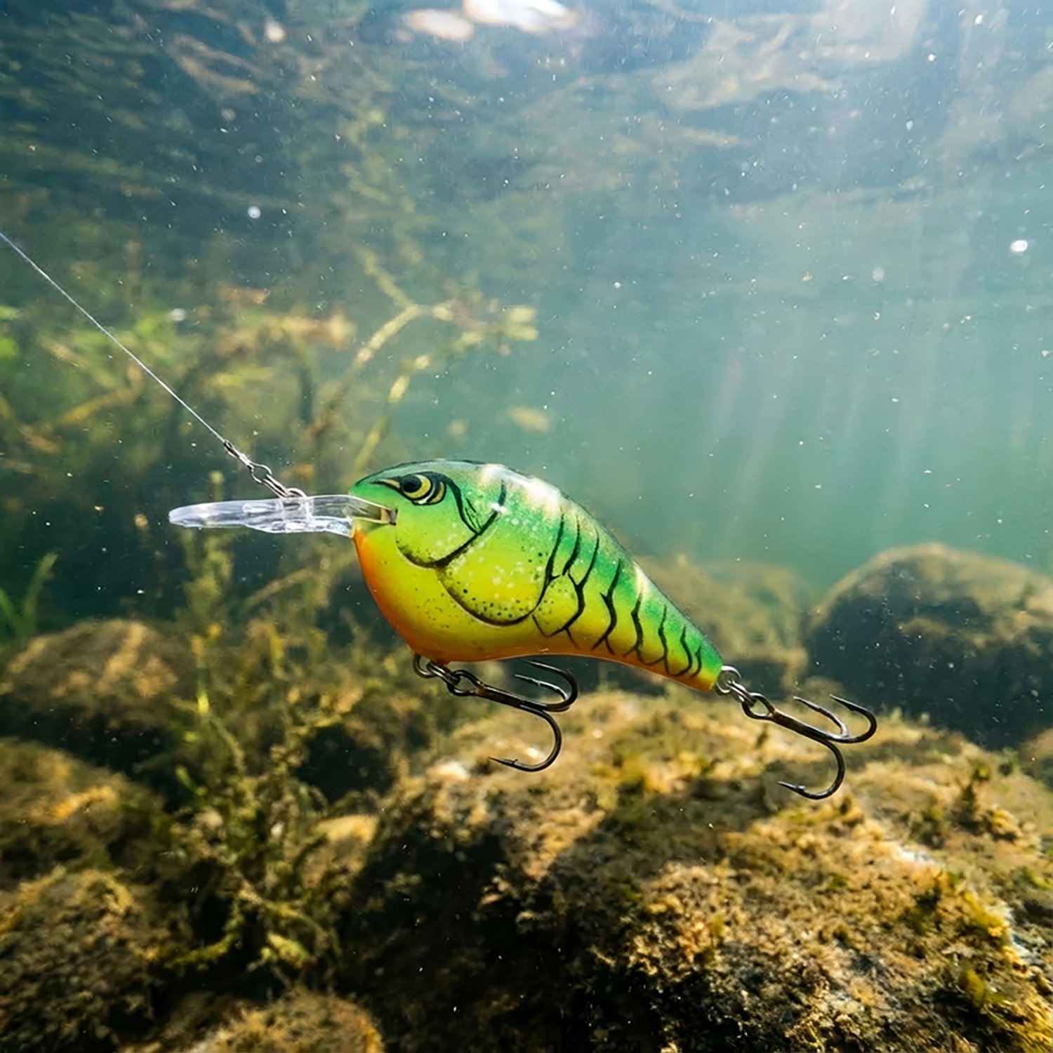 Rapala Dives-To 06 Crankbait Lure - view number 2