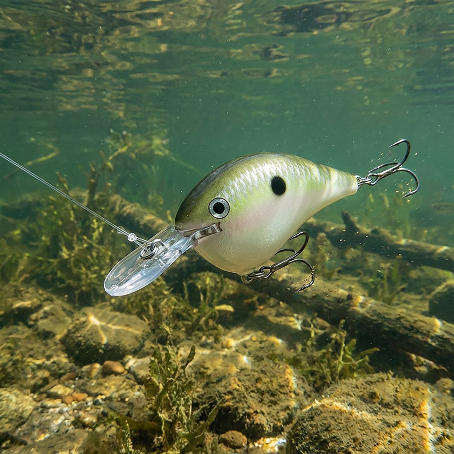 Rapala Dives-To 06 Crankbait Lure - view number 2
