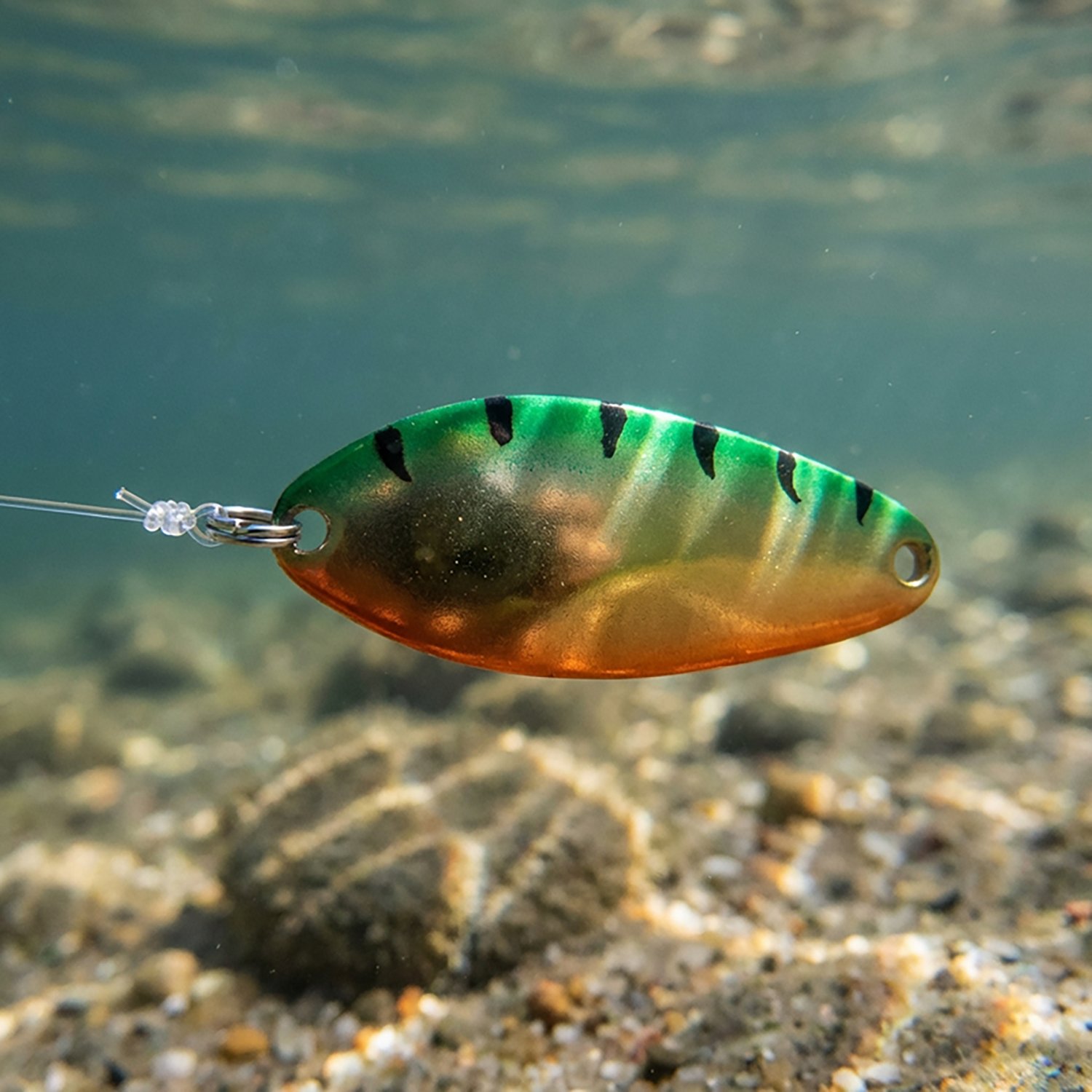 Acme 0.25oz Little Cleo Metallic Spoon Bait - view number 2