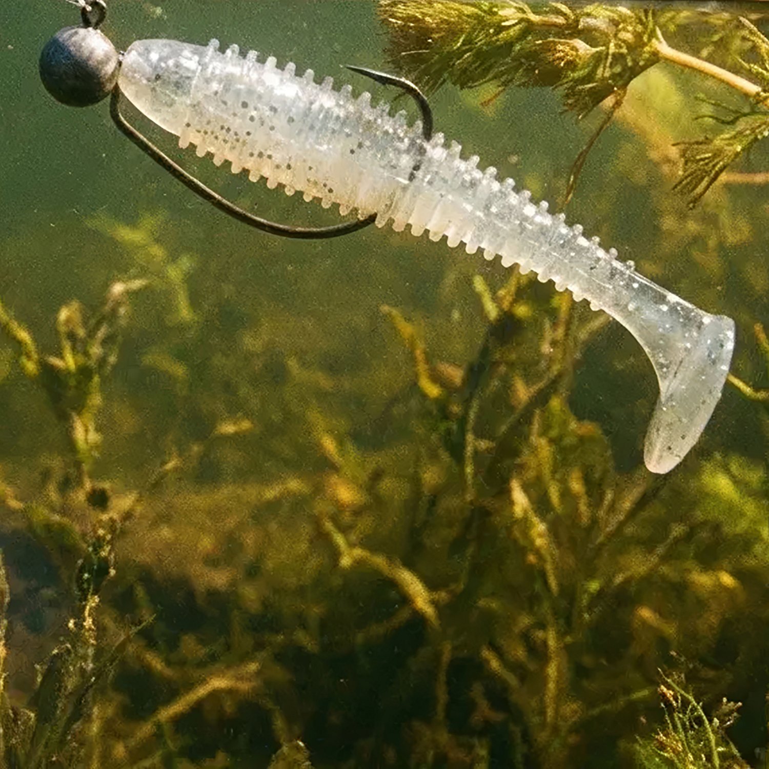 H2OX 3.3 in X Swimmer 8-Pack - view number 2