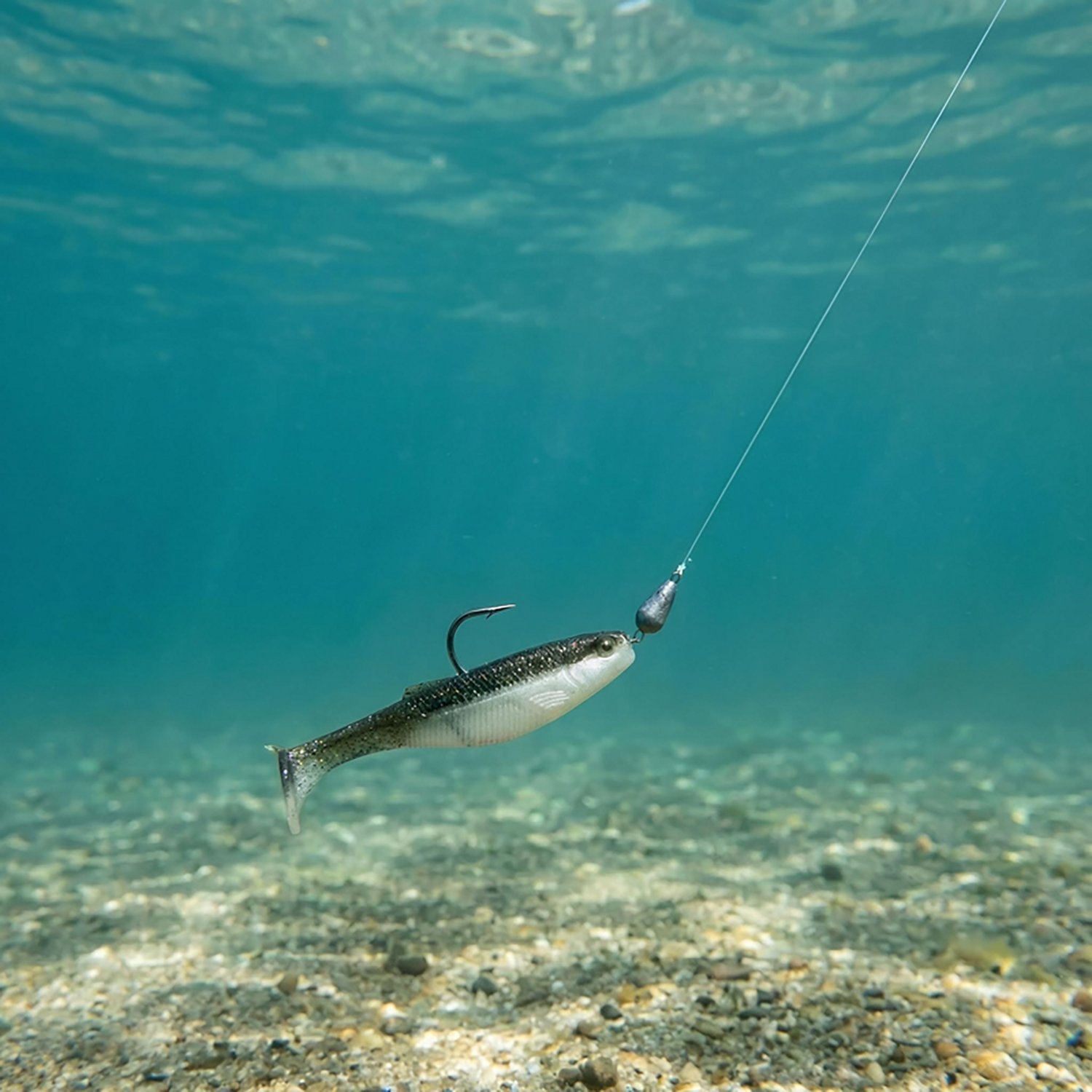 Rapala CrushCity Mayor 3 in Swimbait - view number 5