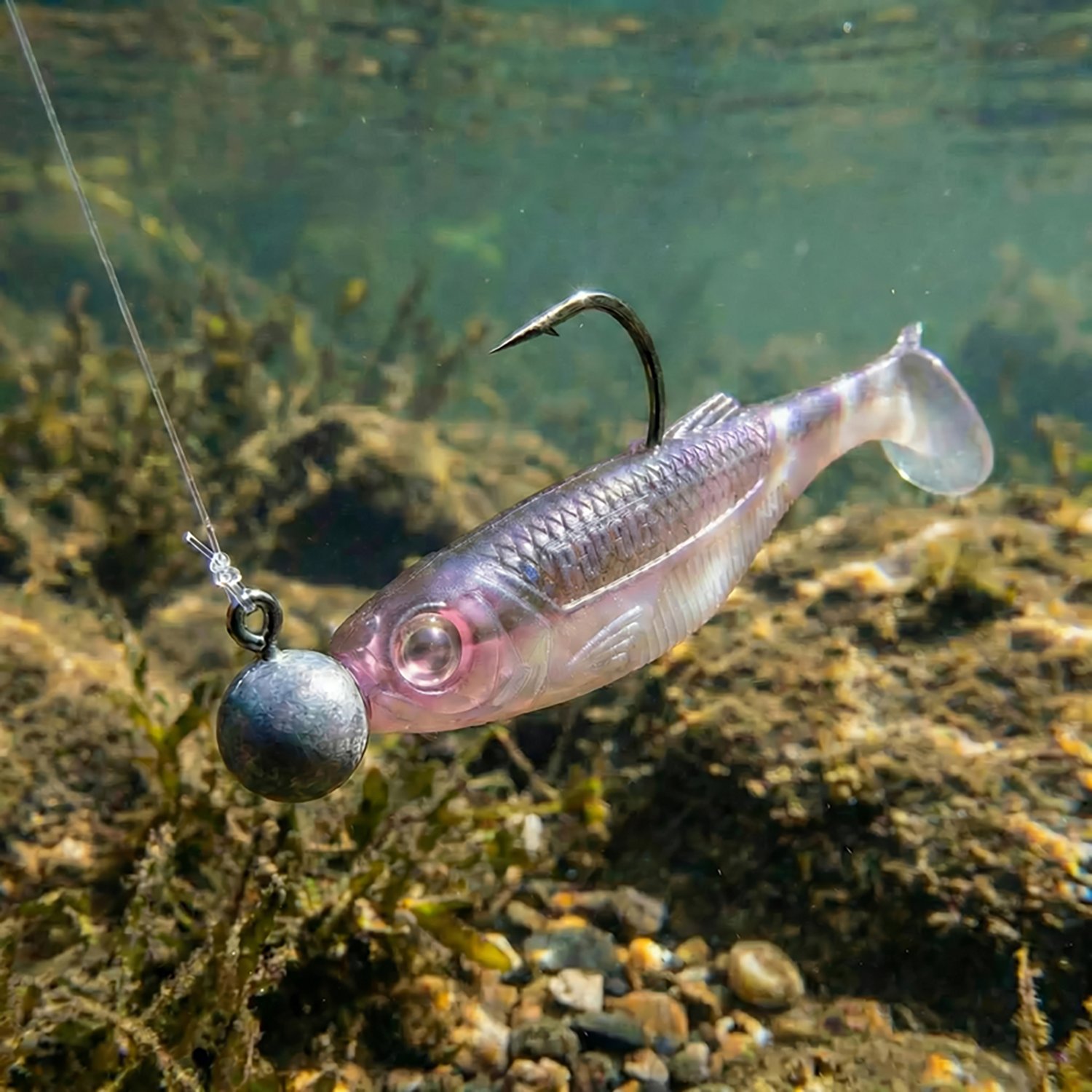 Rapala CrushCity Mayor 3 in Swimbait - view number 2