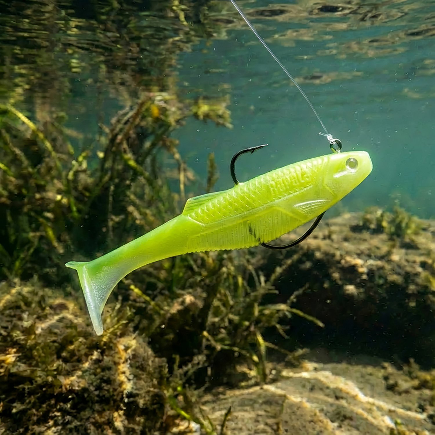 Rapala CrushCity Mayor 3 in Swimbait - view number 2