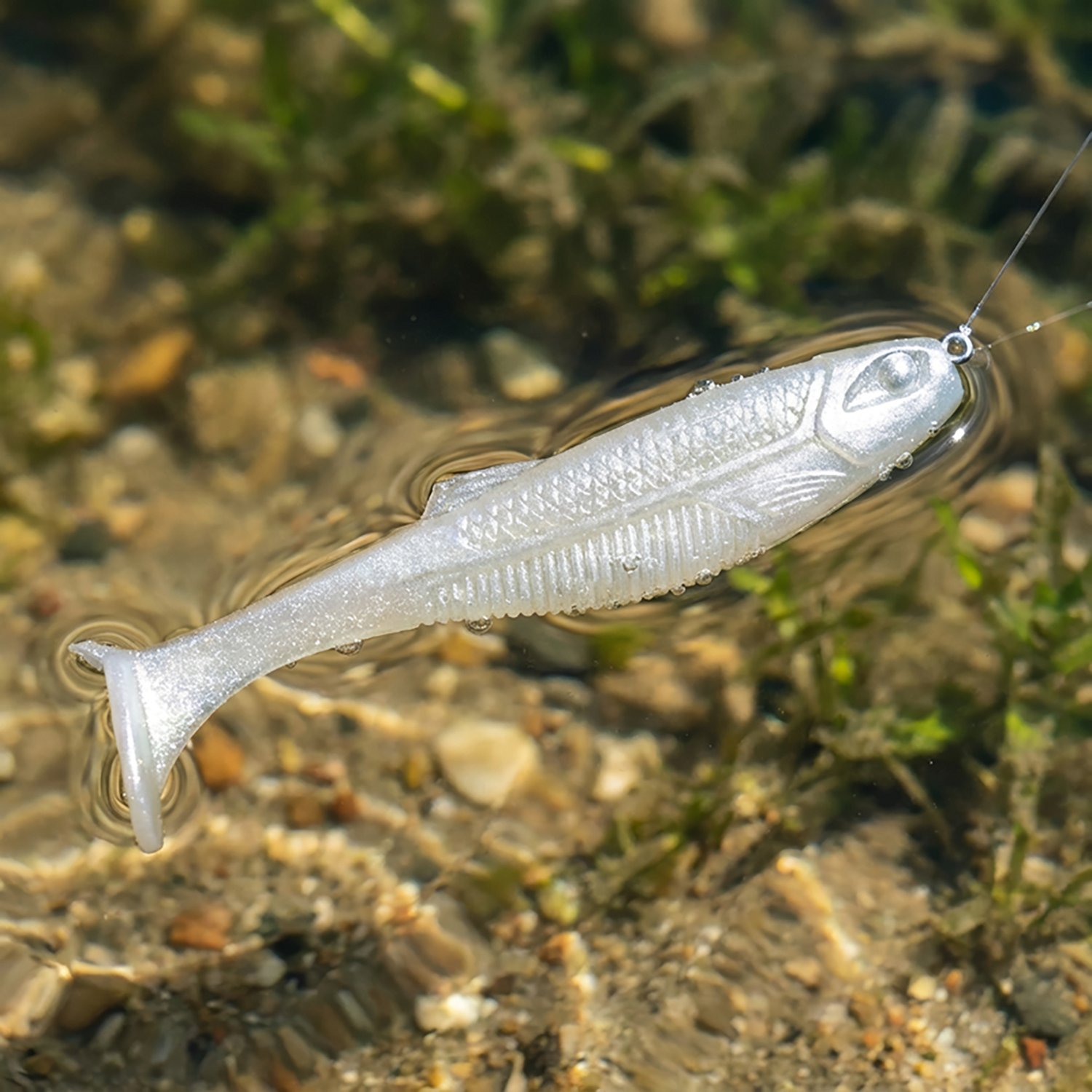 Rapala CrushCity Mayor 3 in Swimbait - view number 2