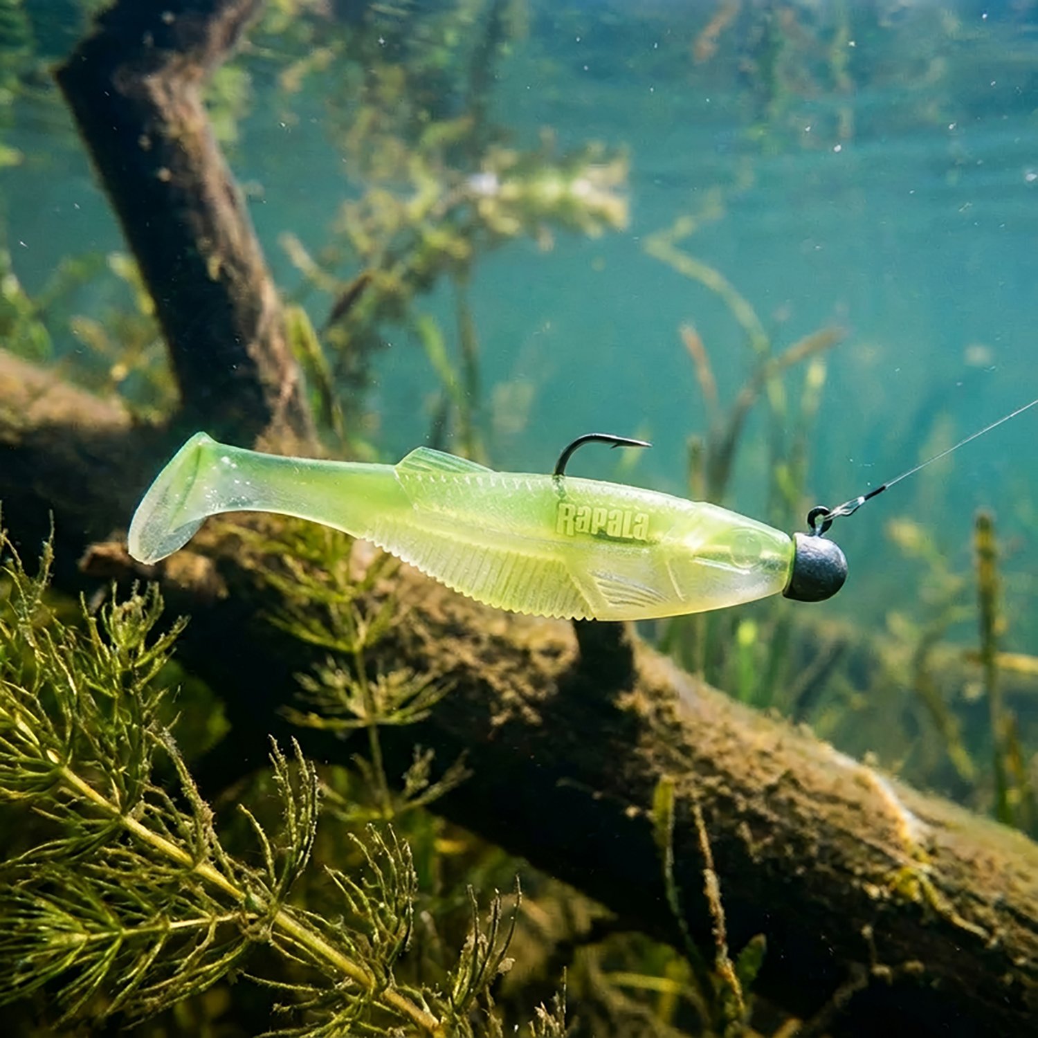 Rapala CrushCity Mayor 4 in 6-Pack - view number 2